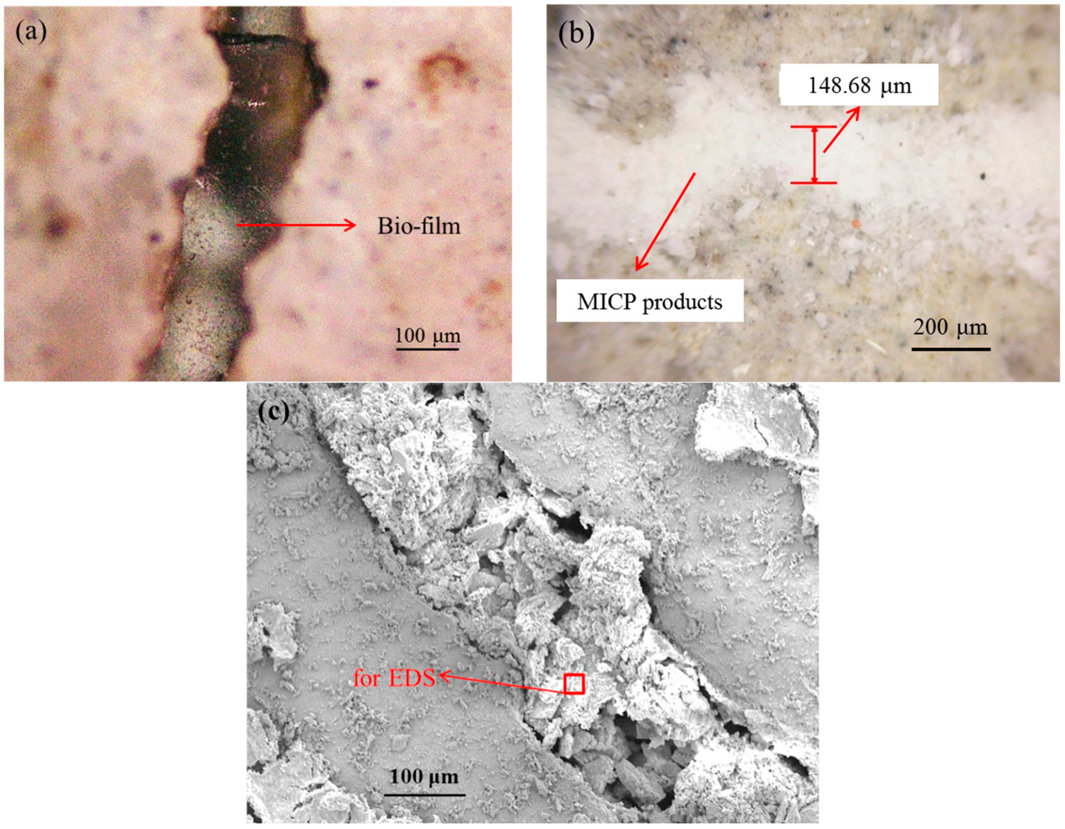 Materials 12 03912 g013