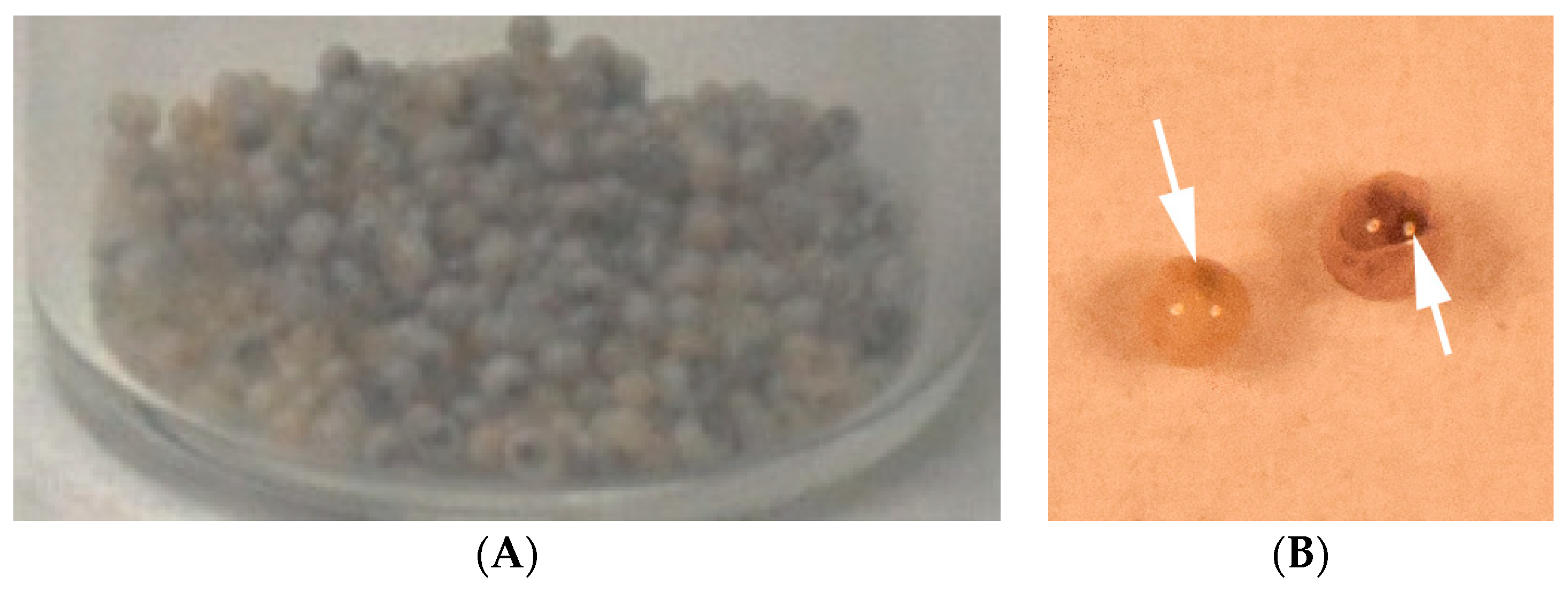 Materials 12 03921 g005 Materials 12 03921 g005