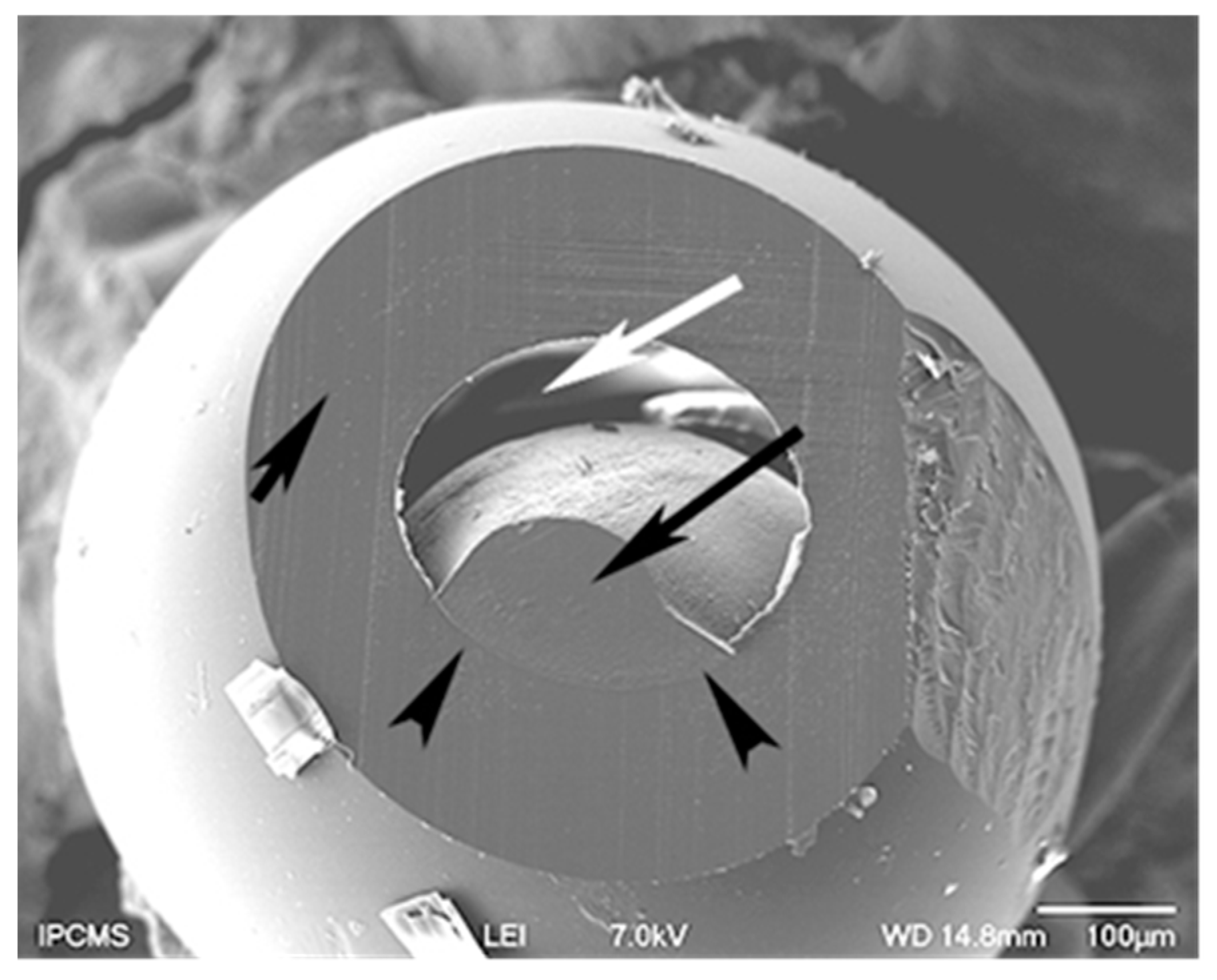 Materials 12 03921 g006 Materials 12 03921 g006