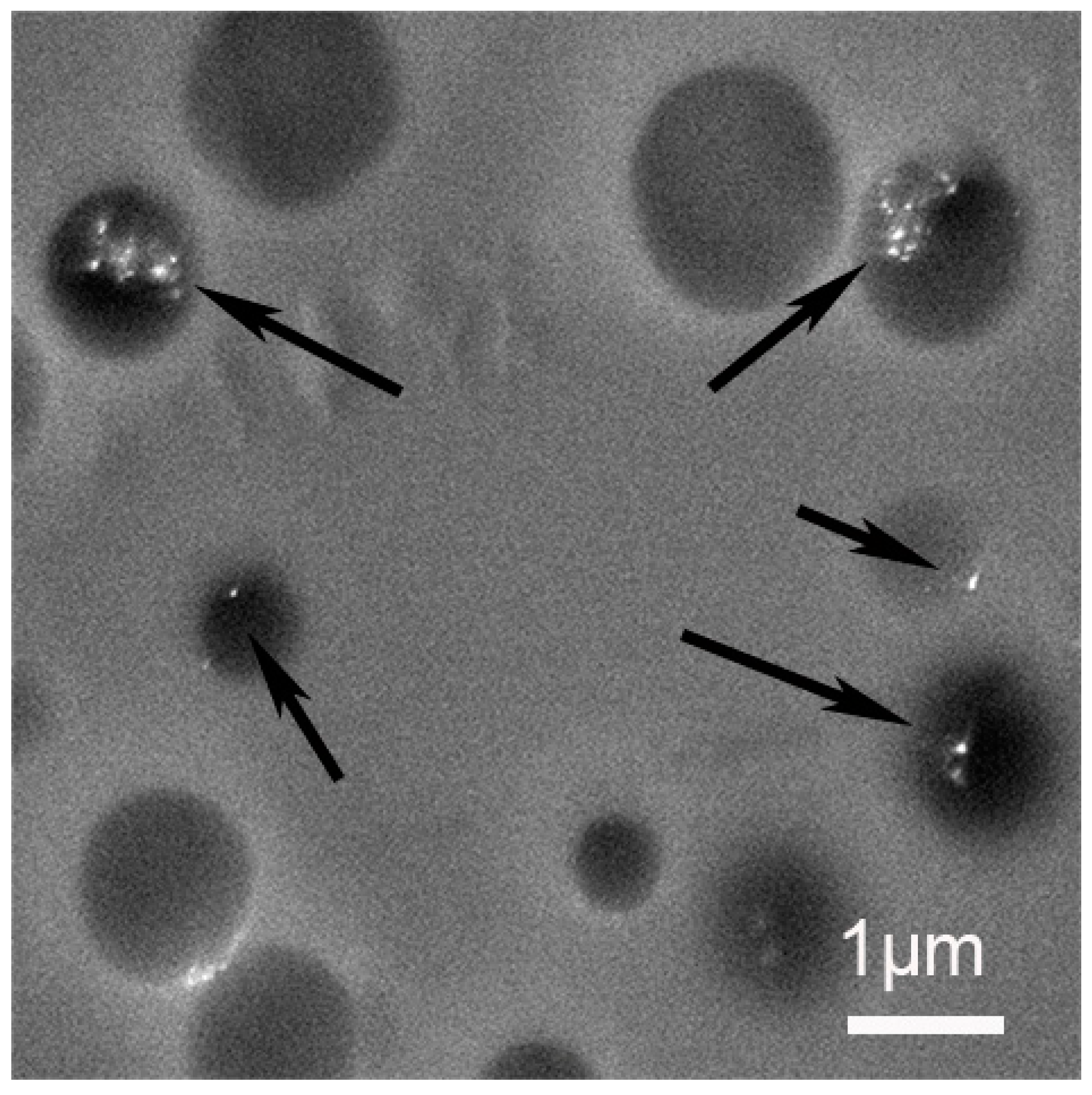 Materials 12 03921 g009 Materials 12 03921 g009