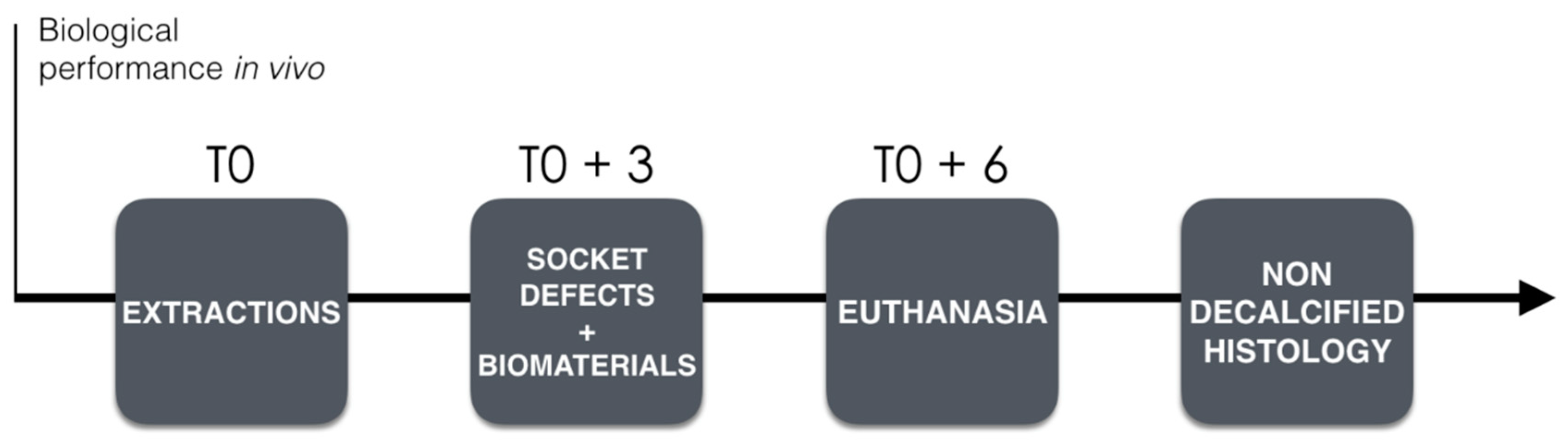 Materials 12 03946 g001