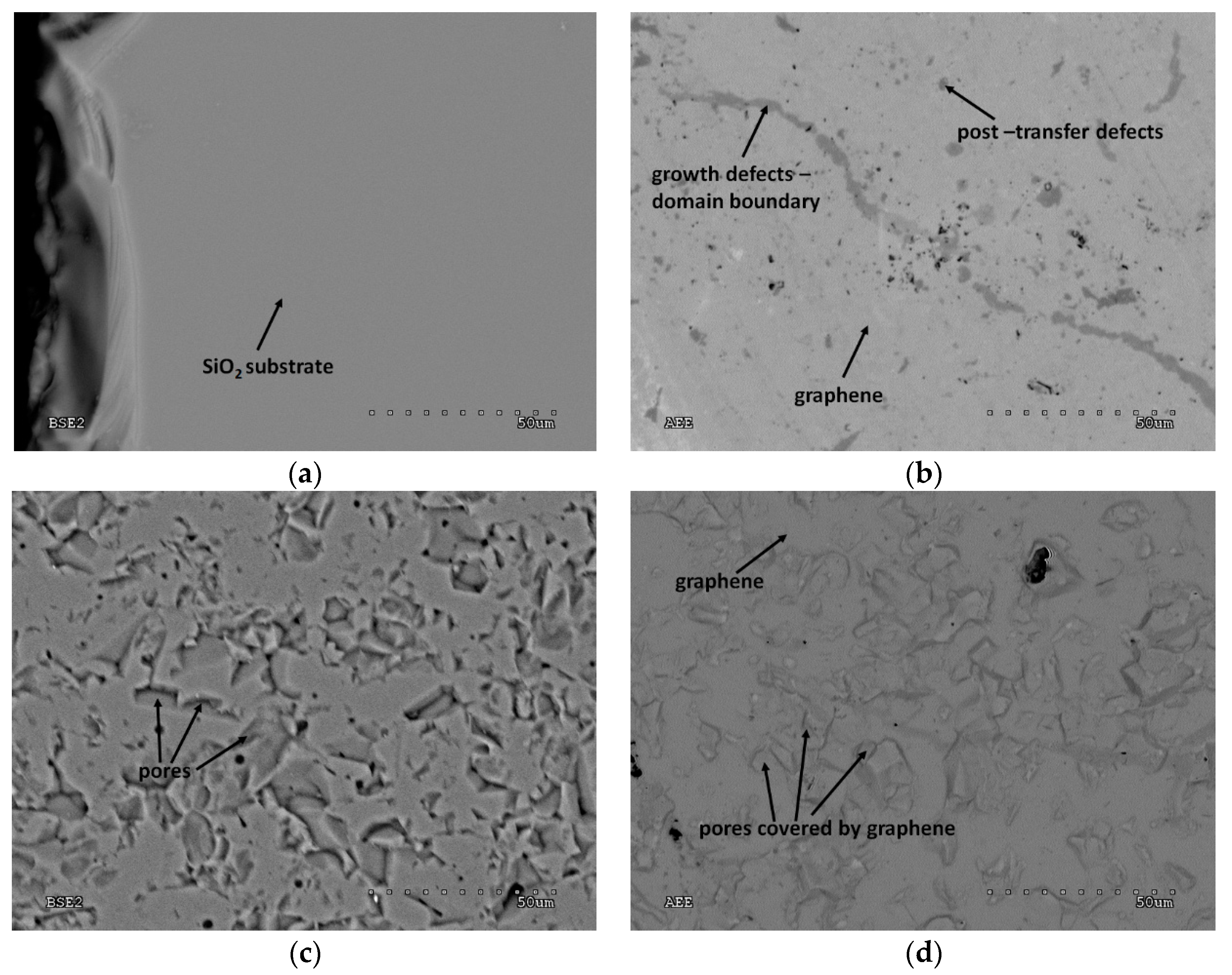 Materials 12 03949 g002 Materials 12 03949 g002
