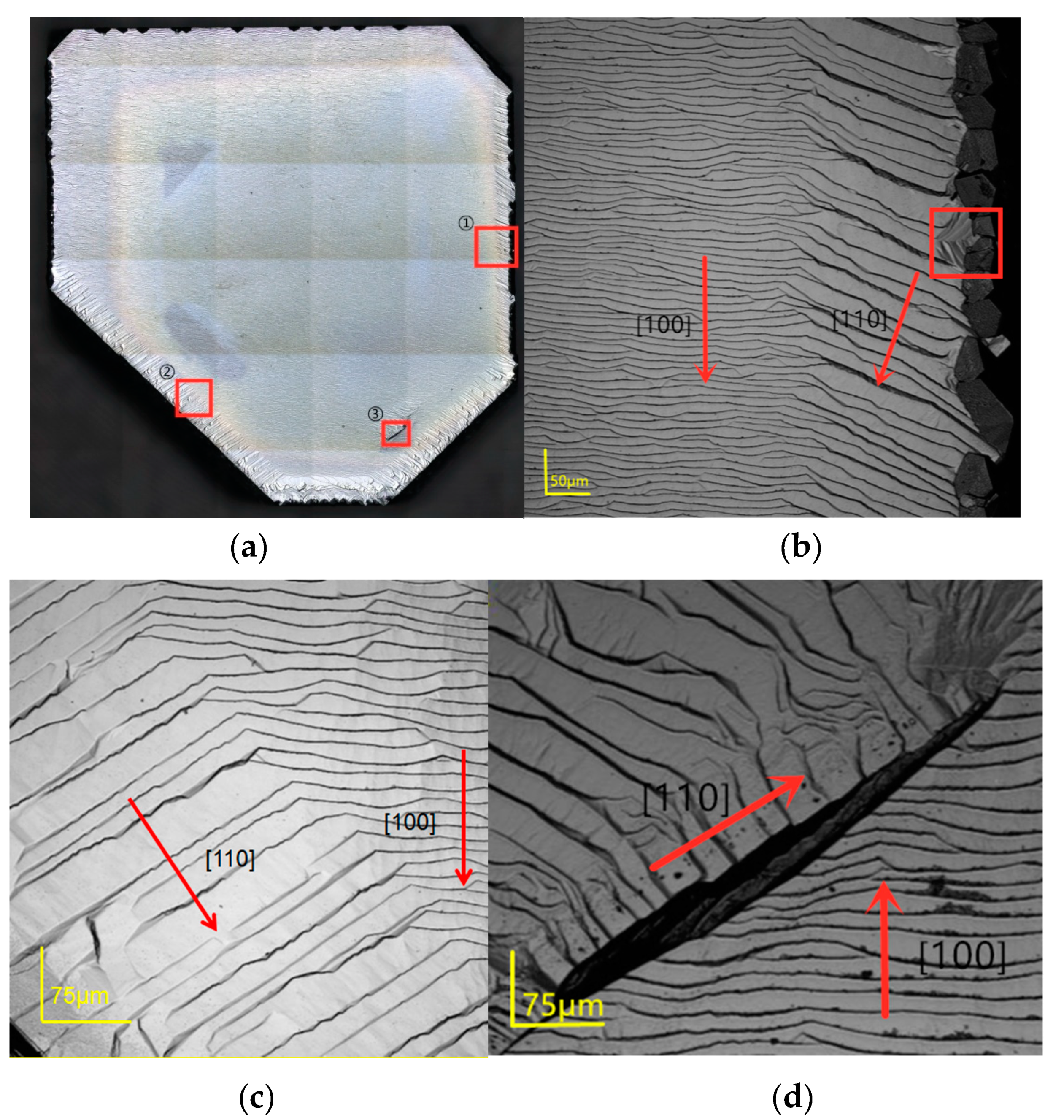 Materials 12 03953 g005