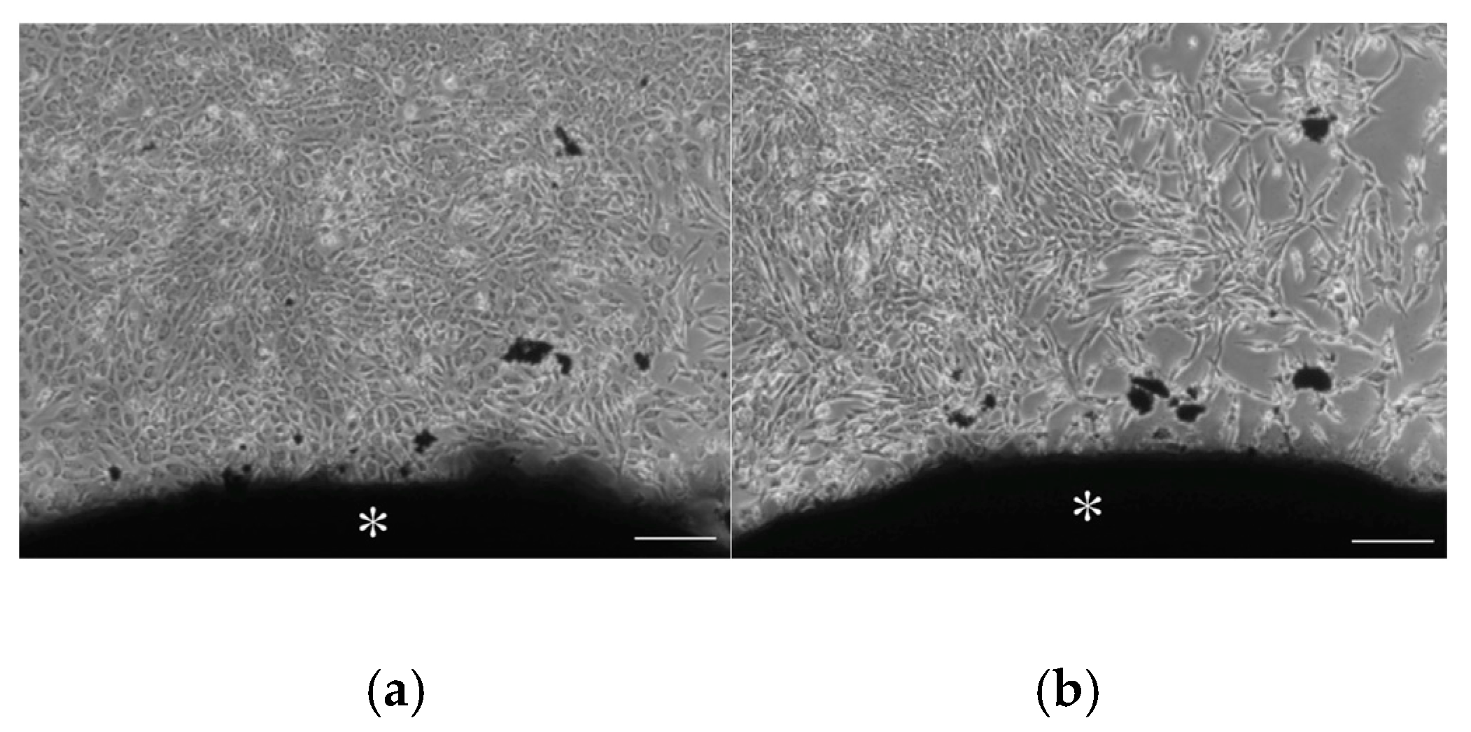 Materials 12 03967 g009 Materials 12 03967 g009