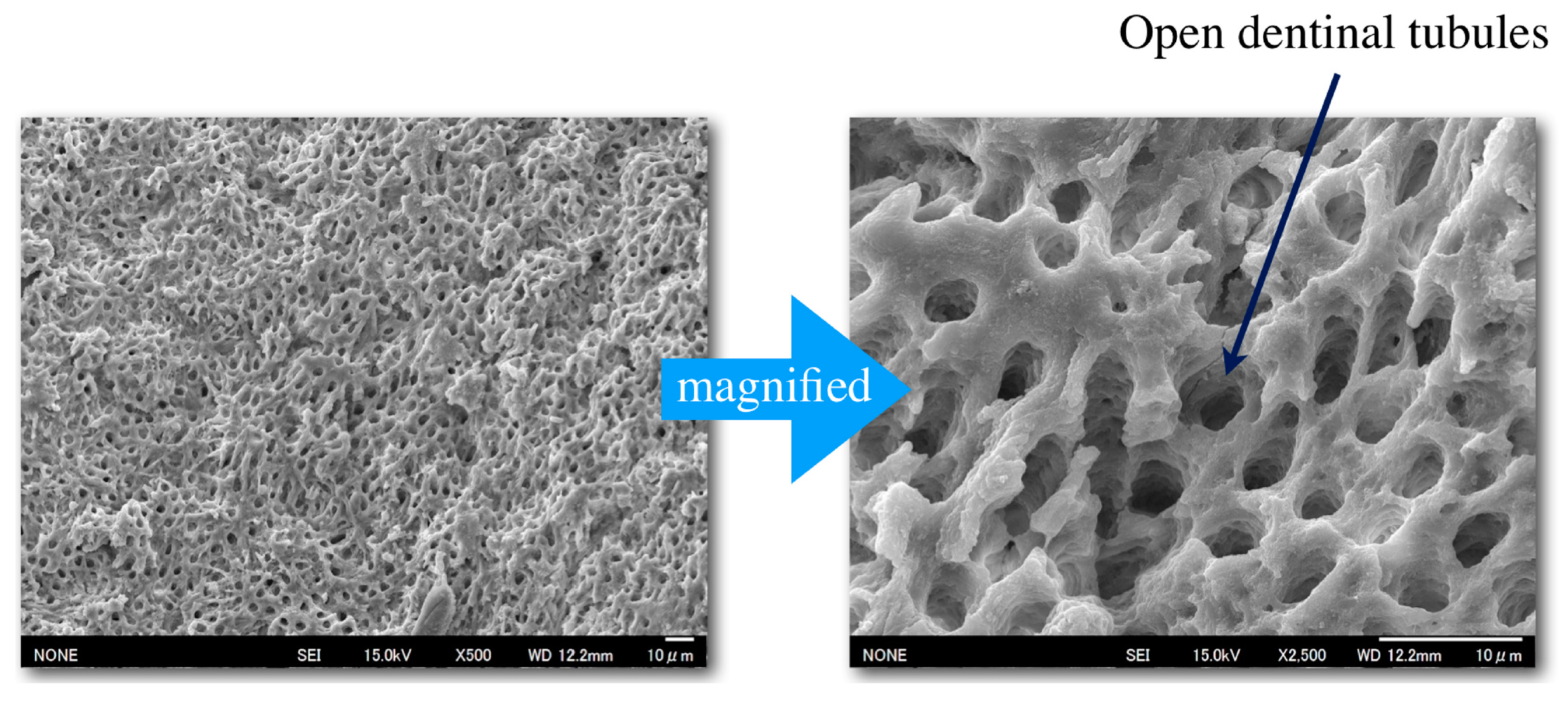 Materials 12 03967 g013 Materials 12 03967 g013
