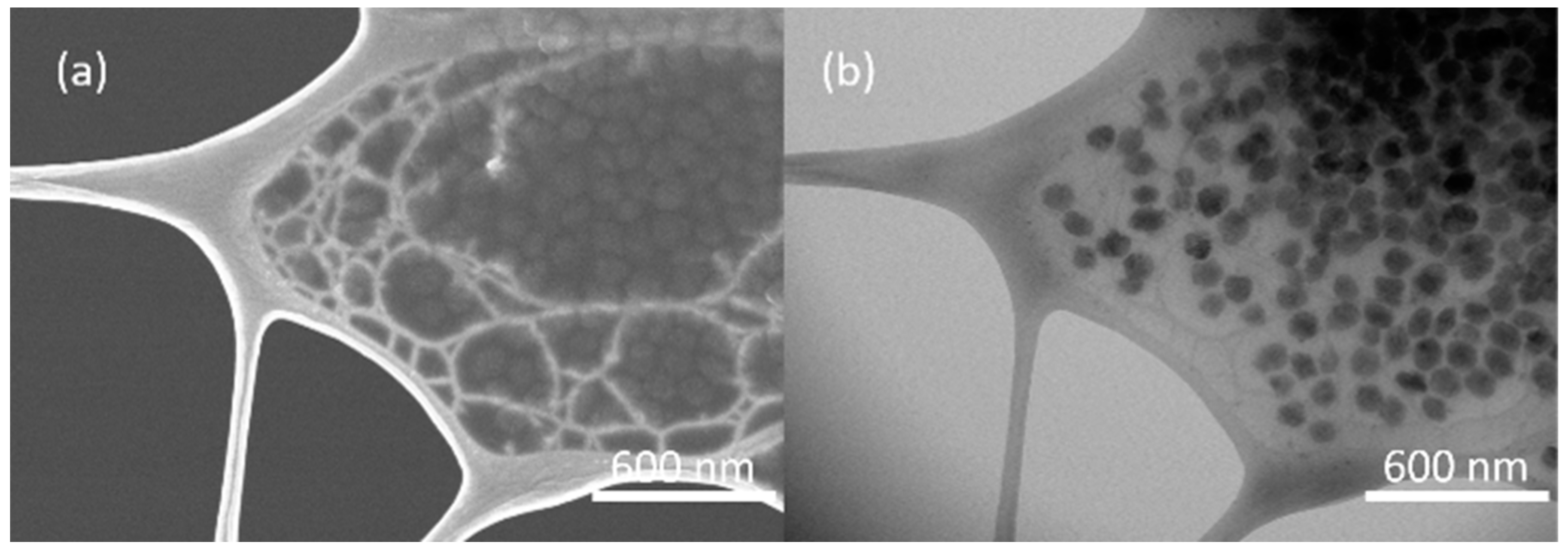 Materials 12 03984 g003 Materials 12 03984 g003
