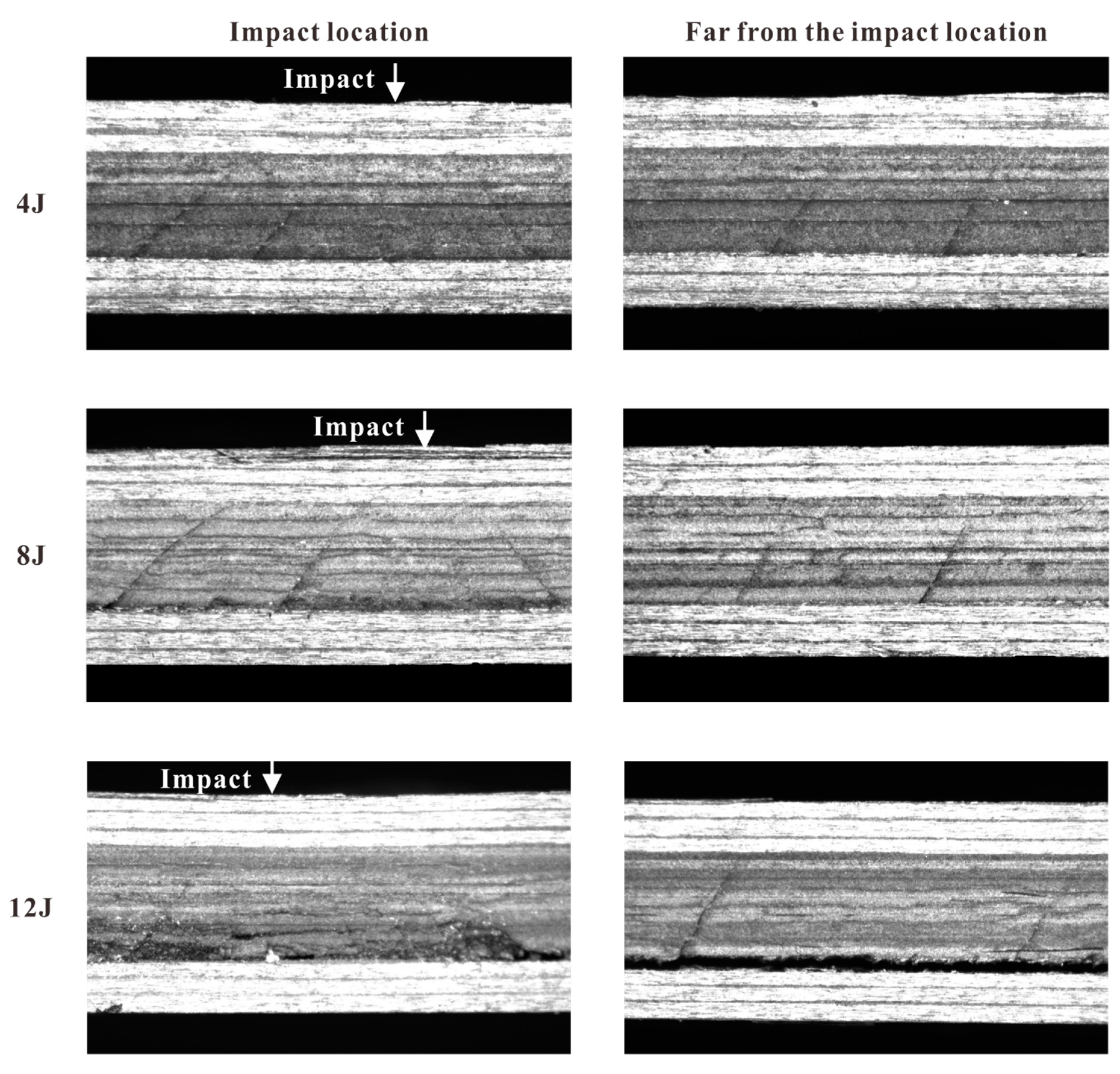Materials 12 03990 g007