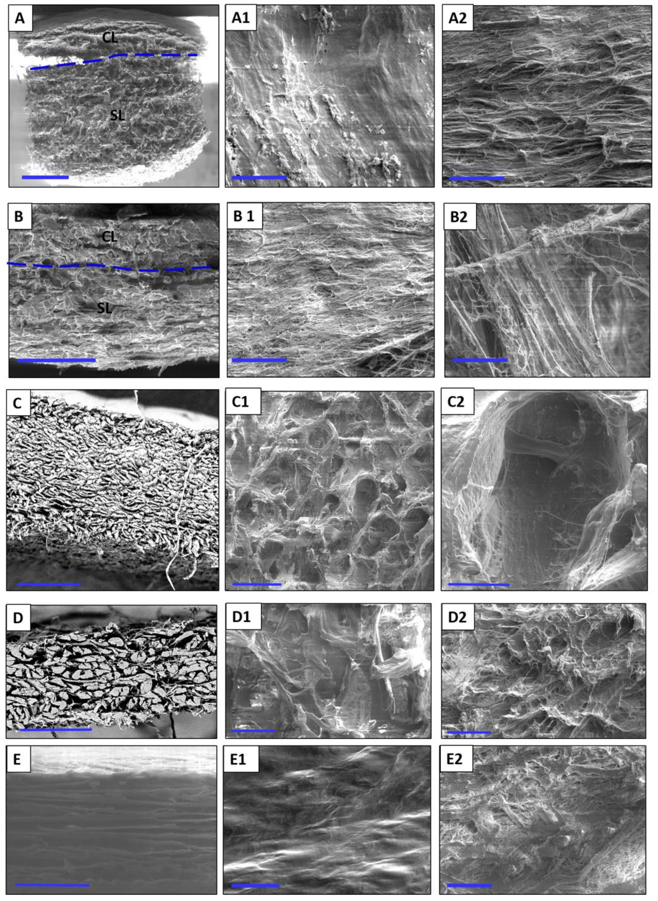 Materials 12 03993 g001