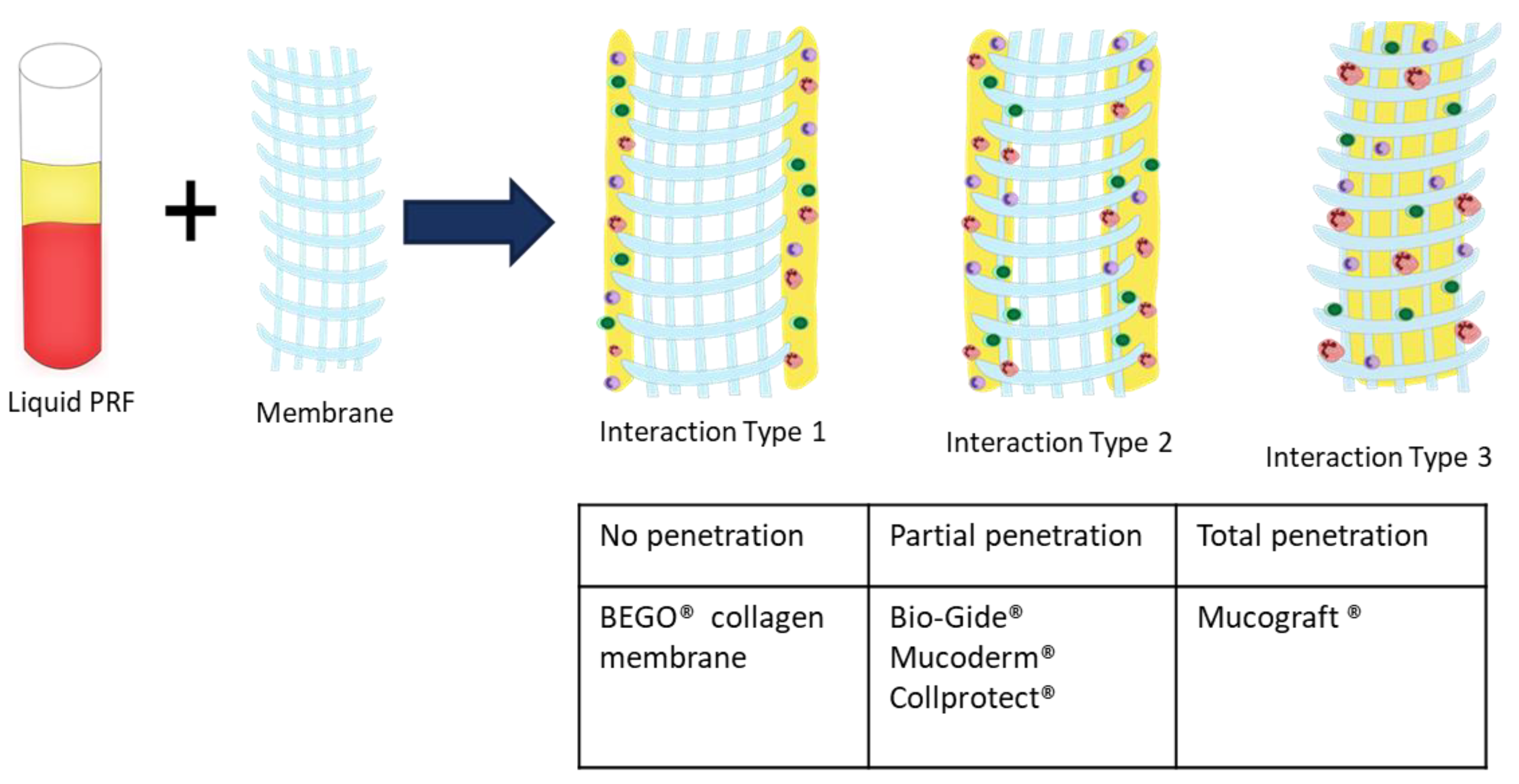 Materials 12 03993 g006