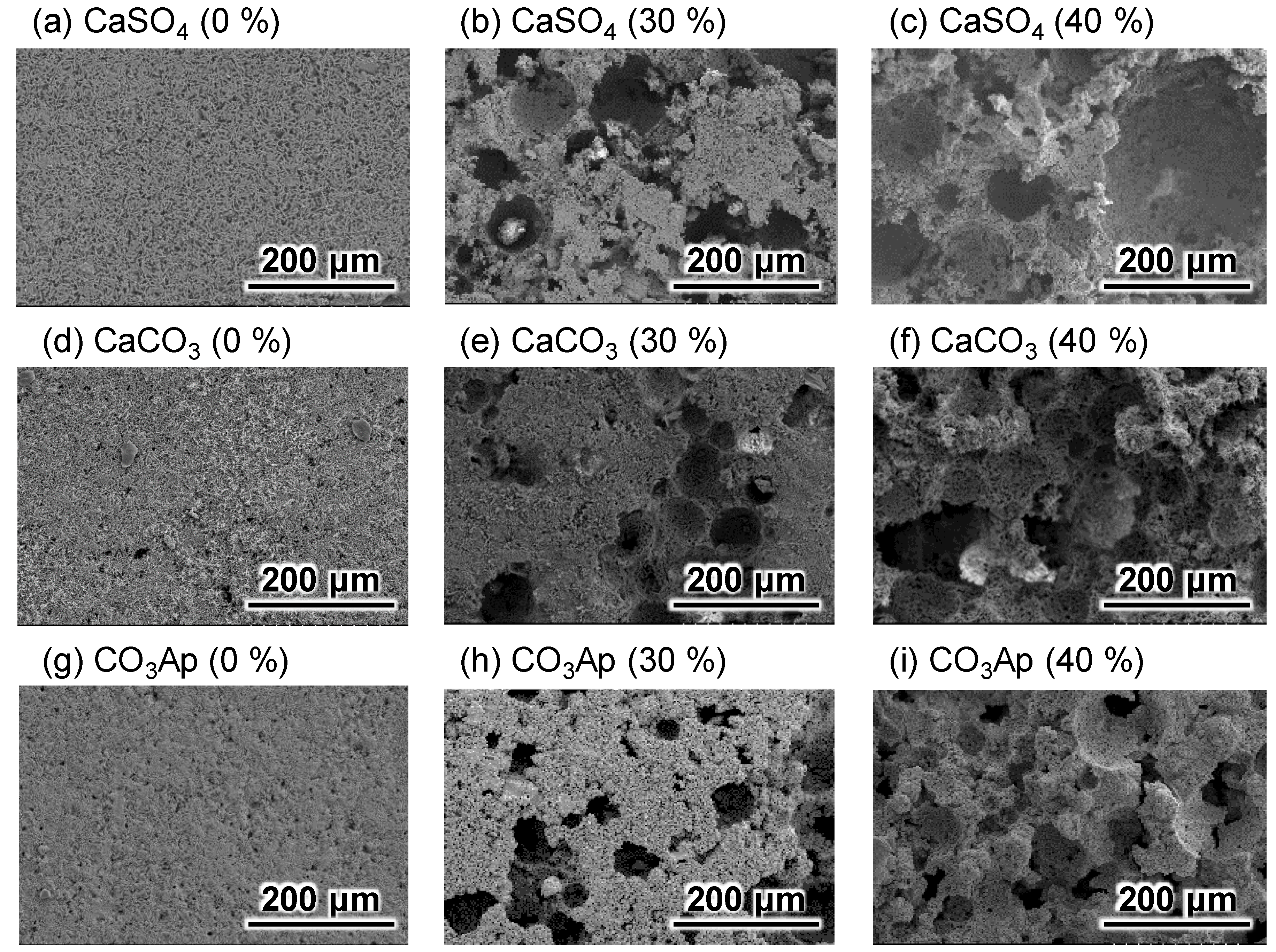 Materials 12 03997 g001 Materials 12 03997 g001