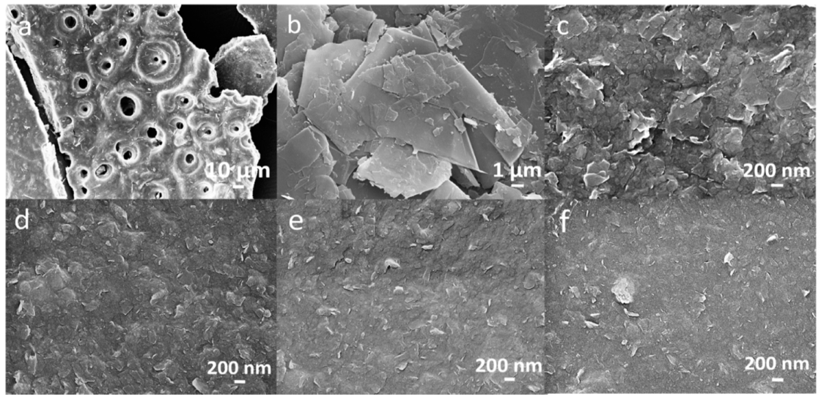 Materials 12 04032 g005