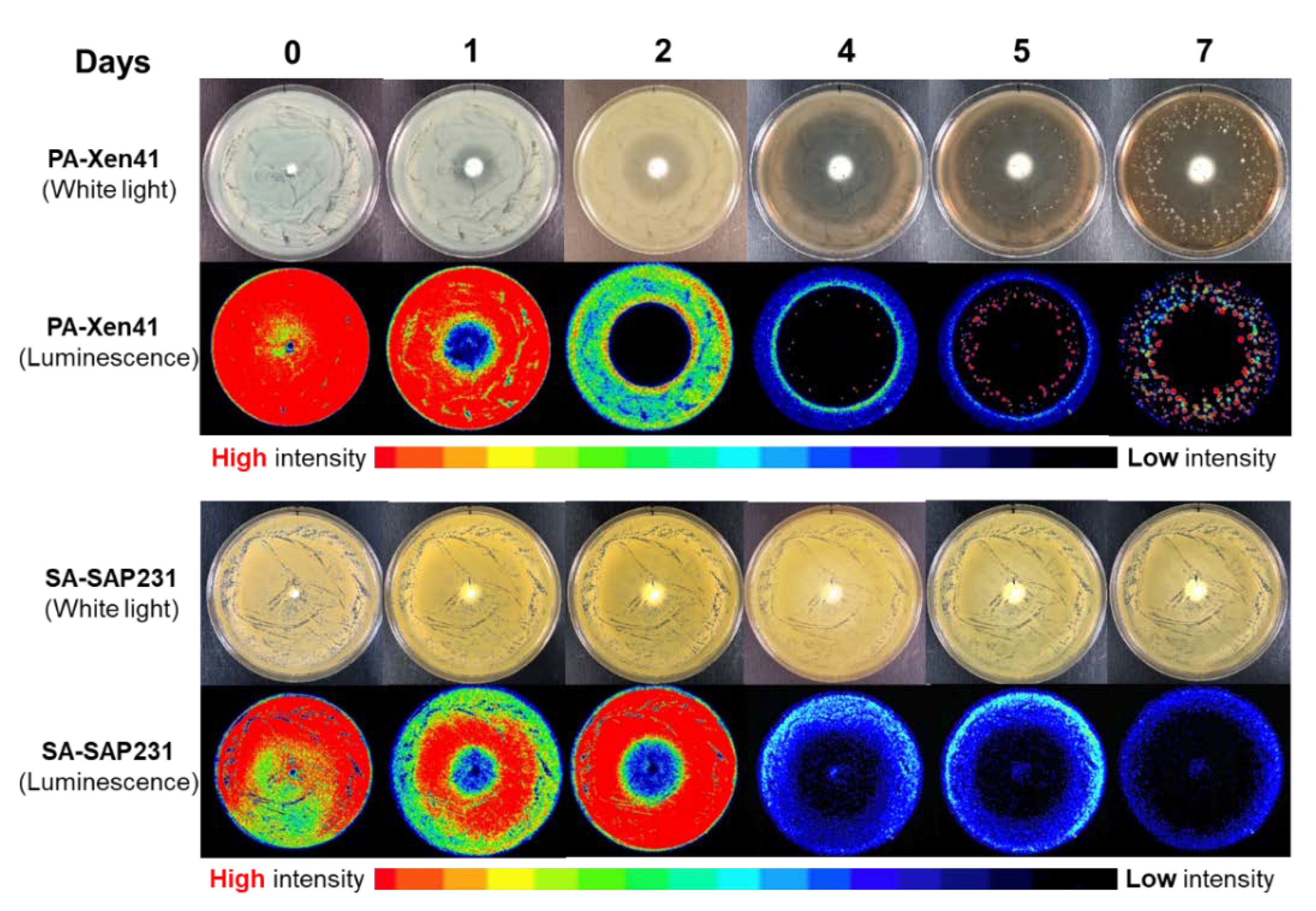 Materials 12 04052 g001