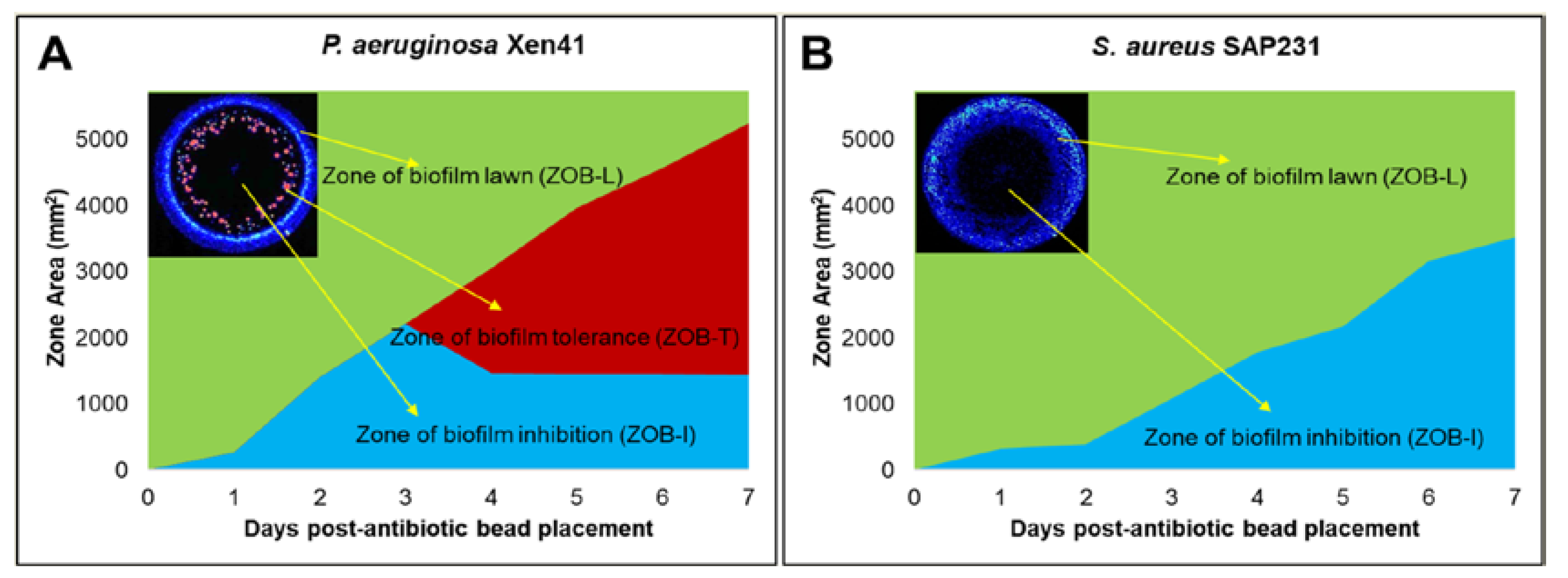 Materials 12 04052 g002