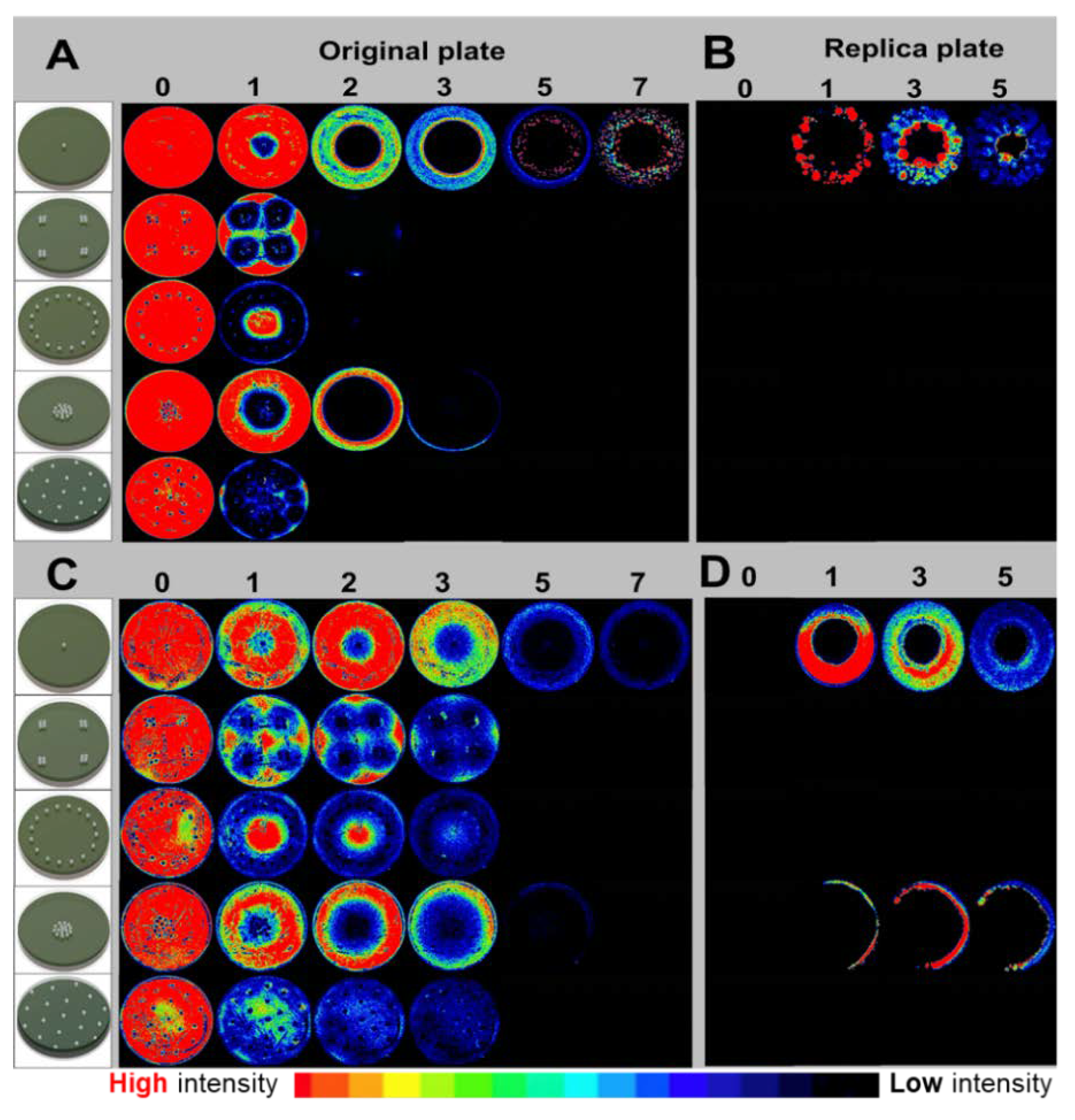 Materials 12 04052 g003