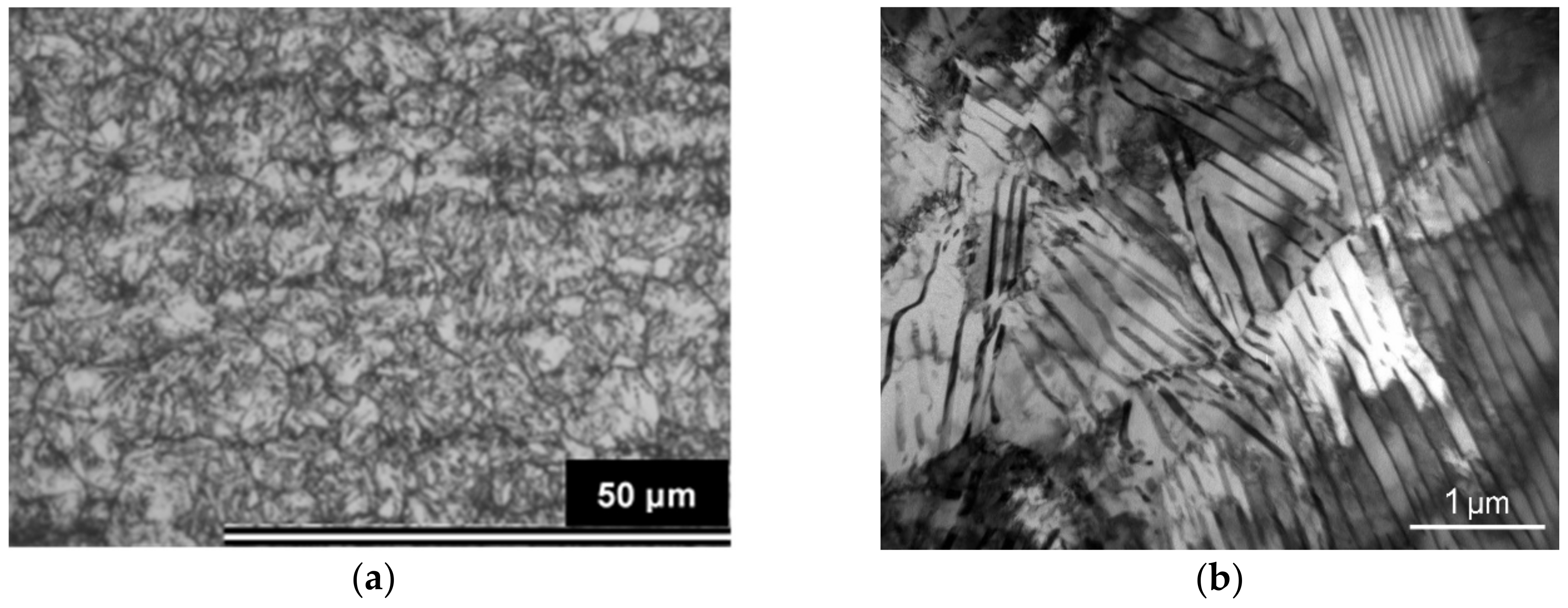 Materials 12 04063 g001 Materials 12 04063 g001