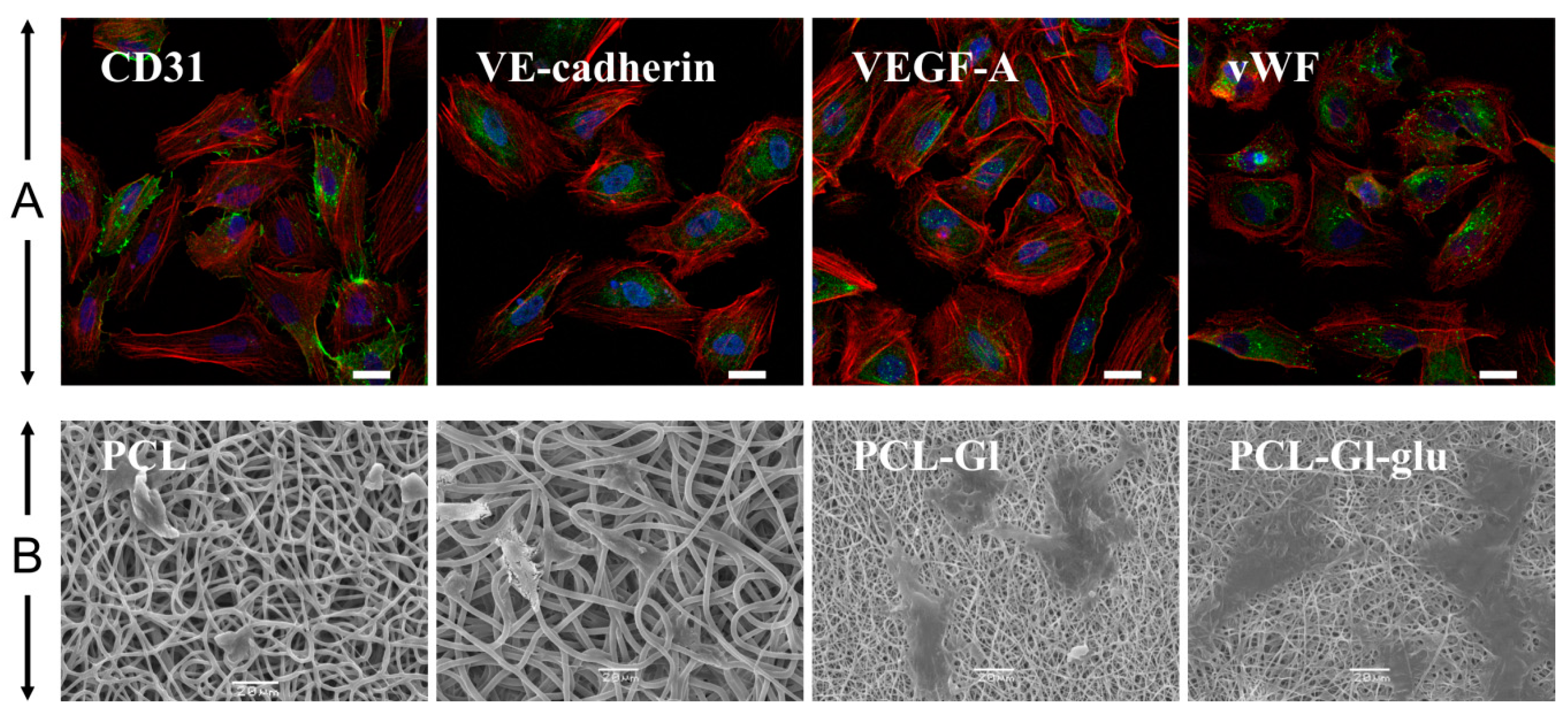 Materials 12 04082 g002