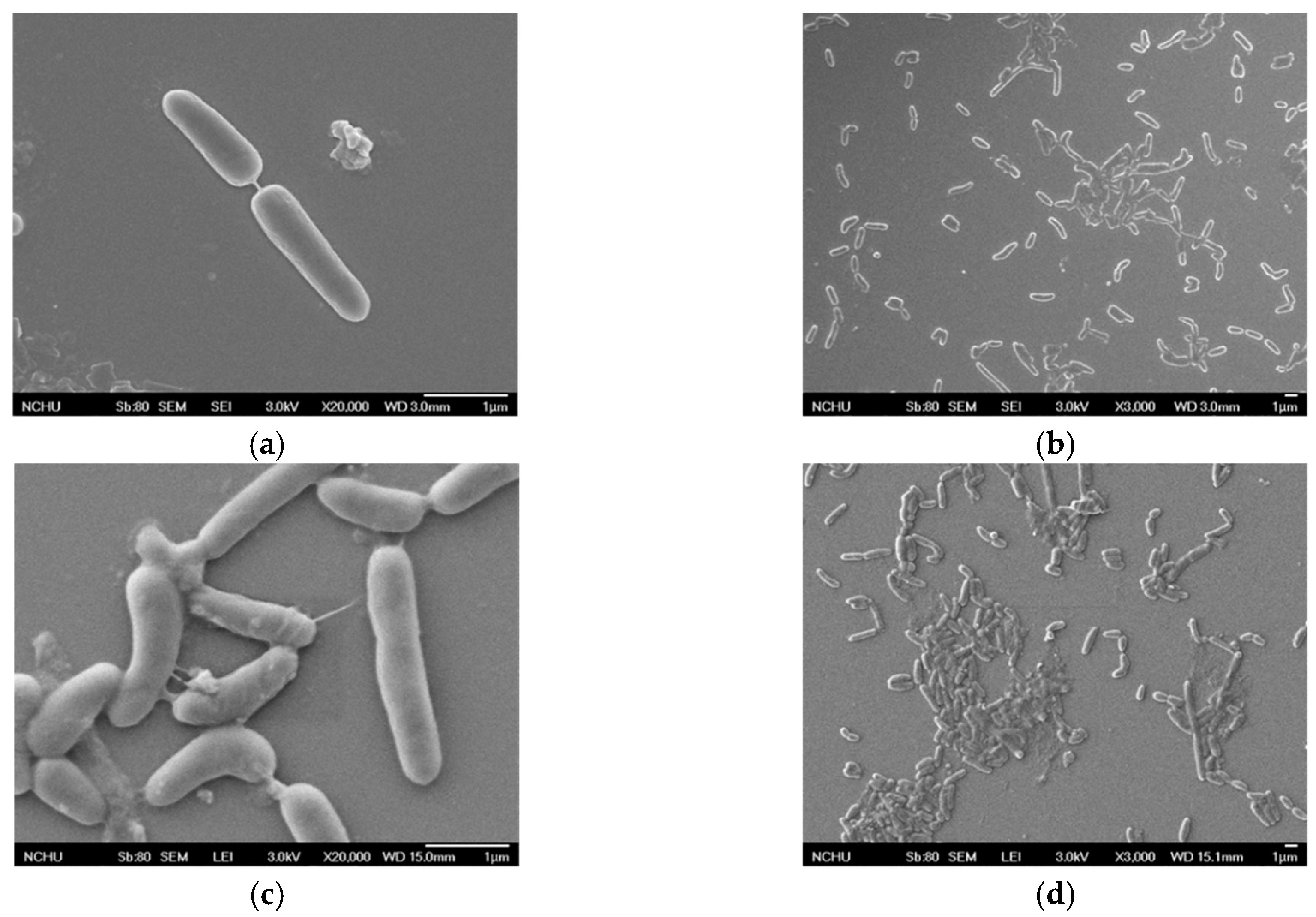 Materials 12 04099 g004