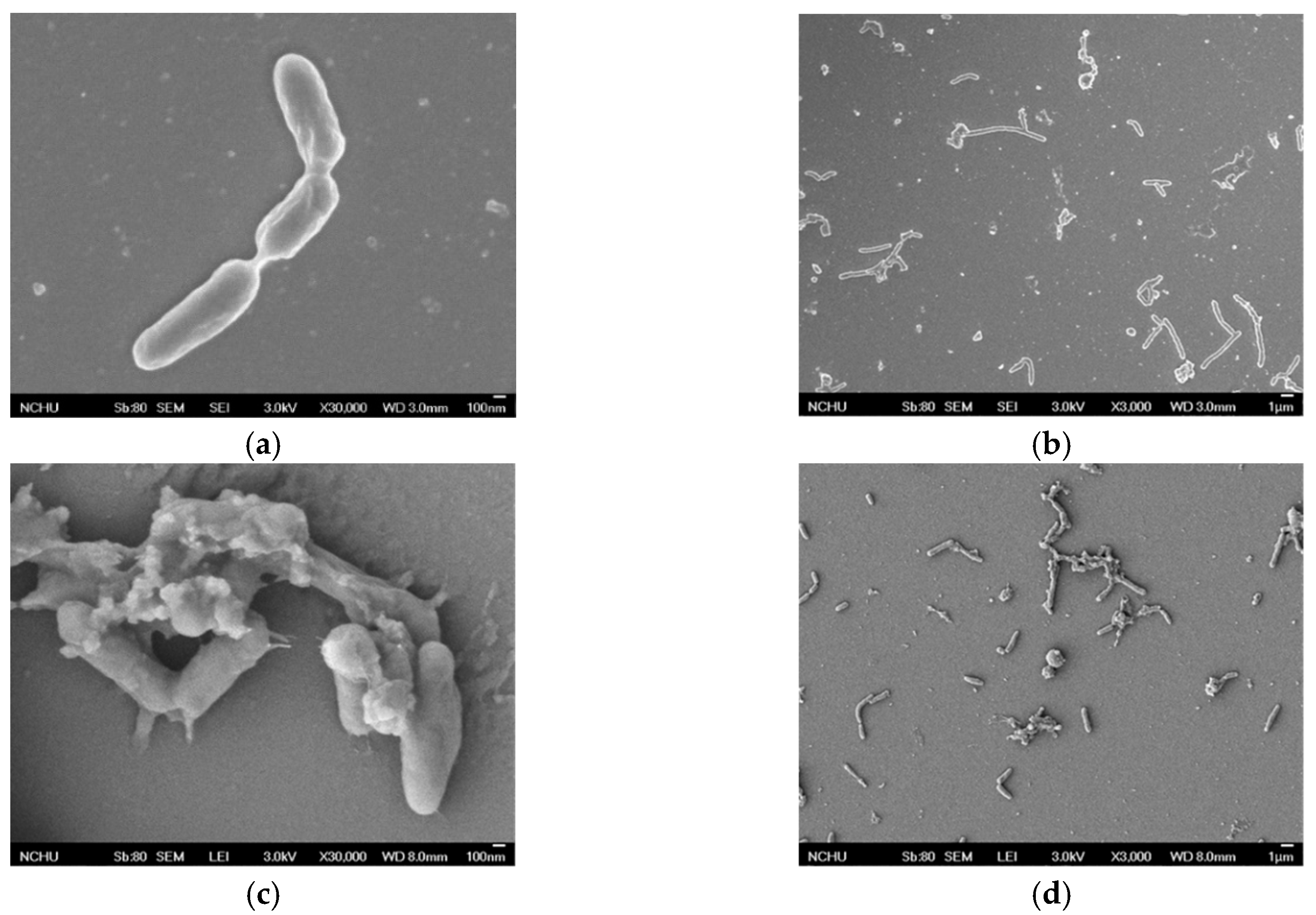 Materials 12 04099 g005