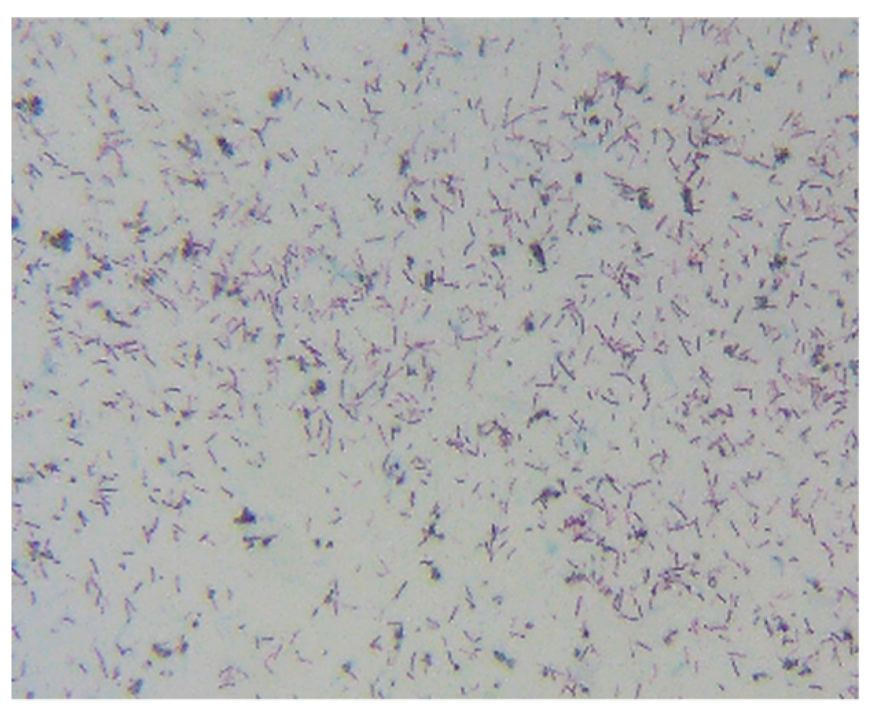 Materials 12 04099 g007