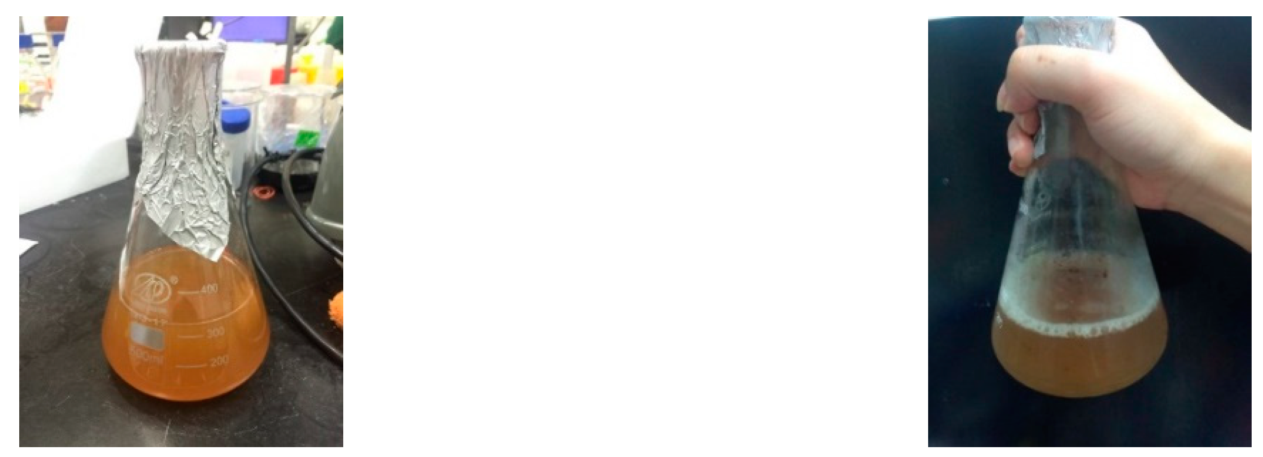 Materials 12 04099 g008