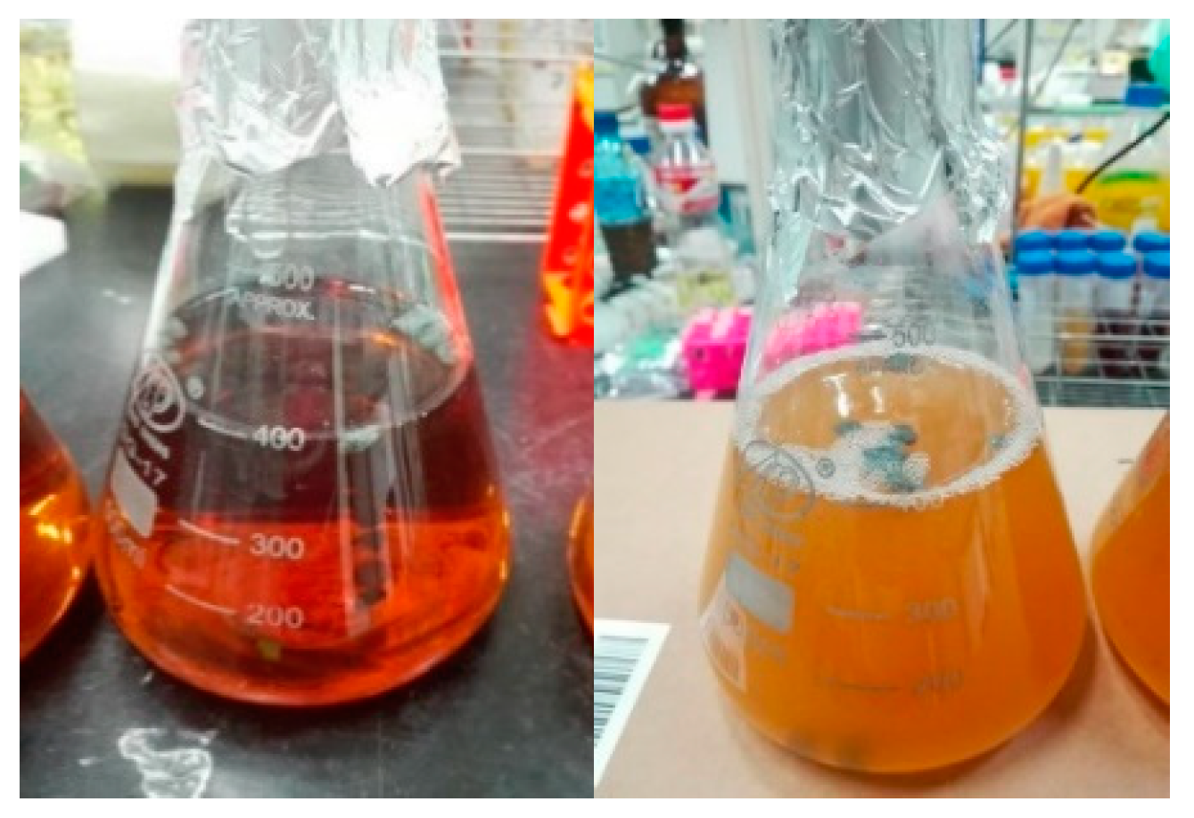 Materials 12 04099 g009