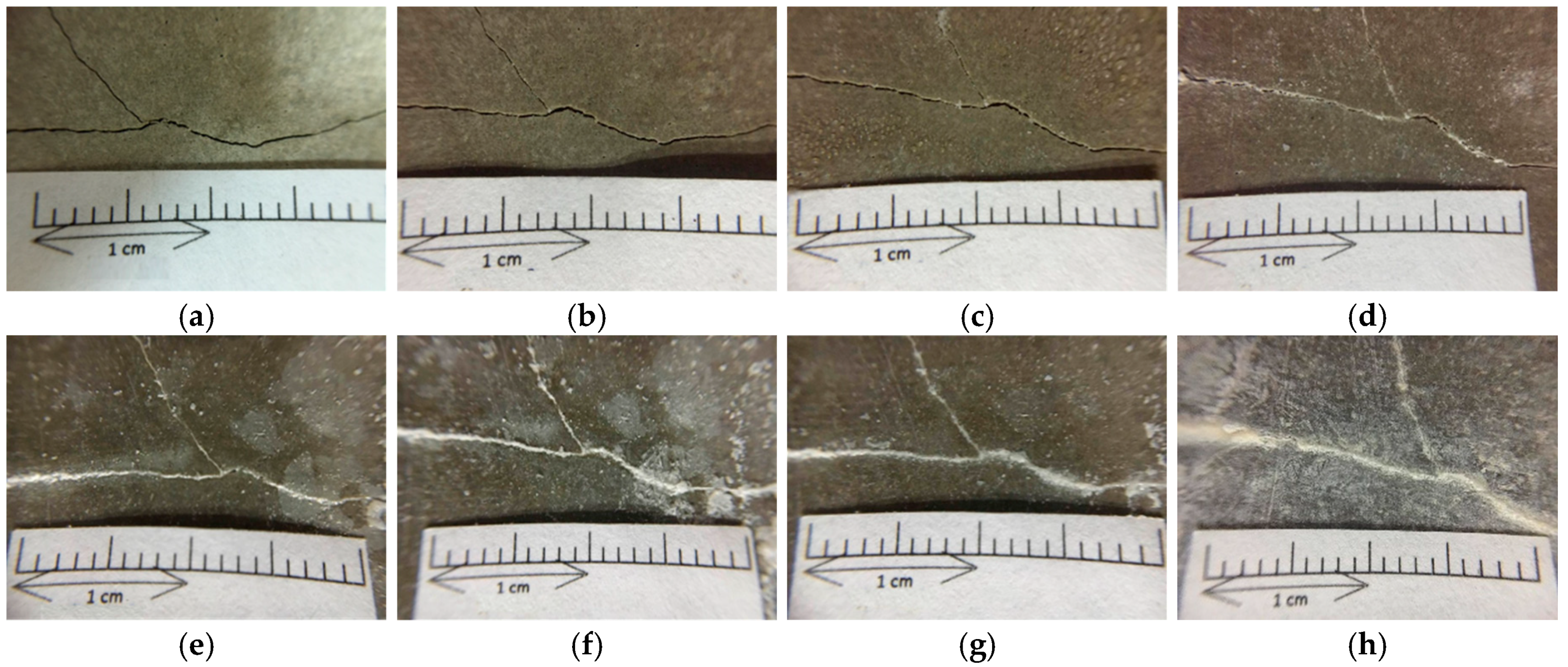 Materials 12 04099 g017