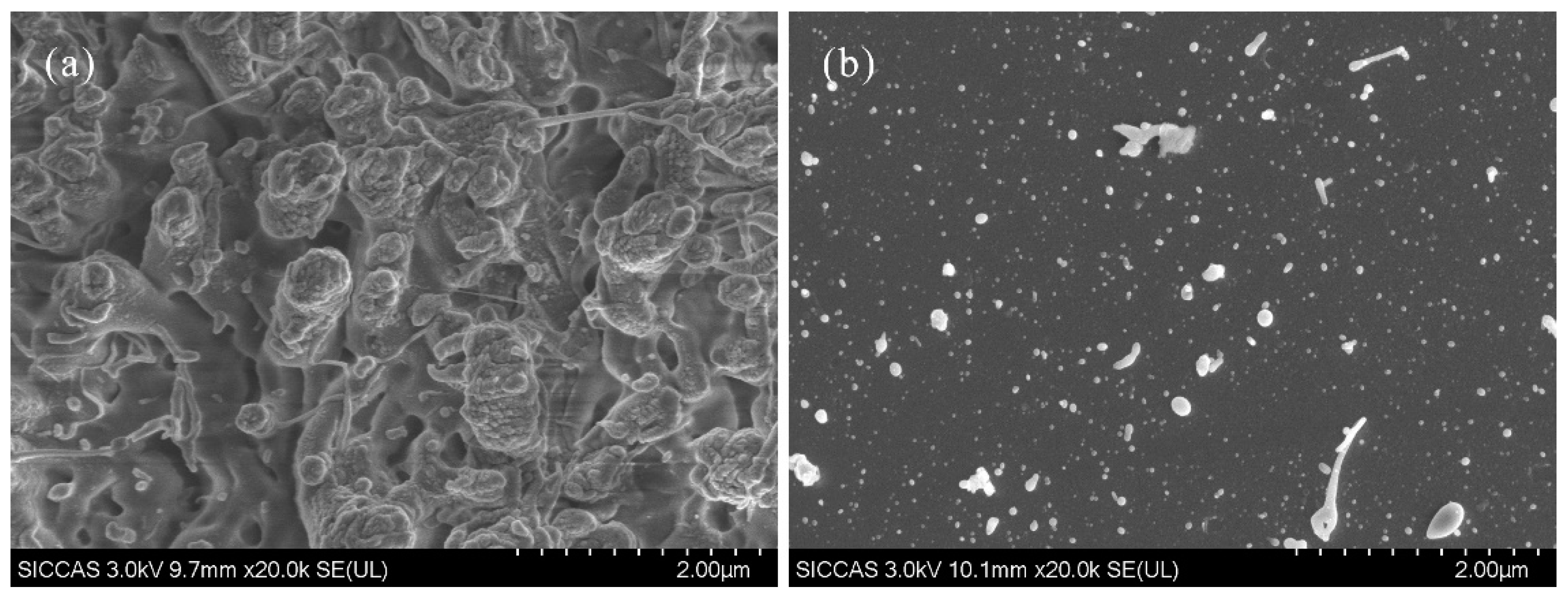 Materials 12 04109 g007