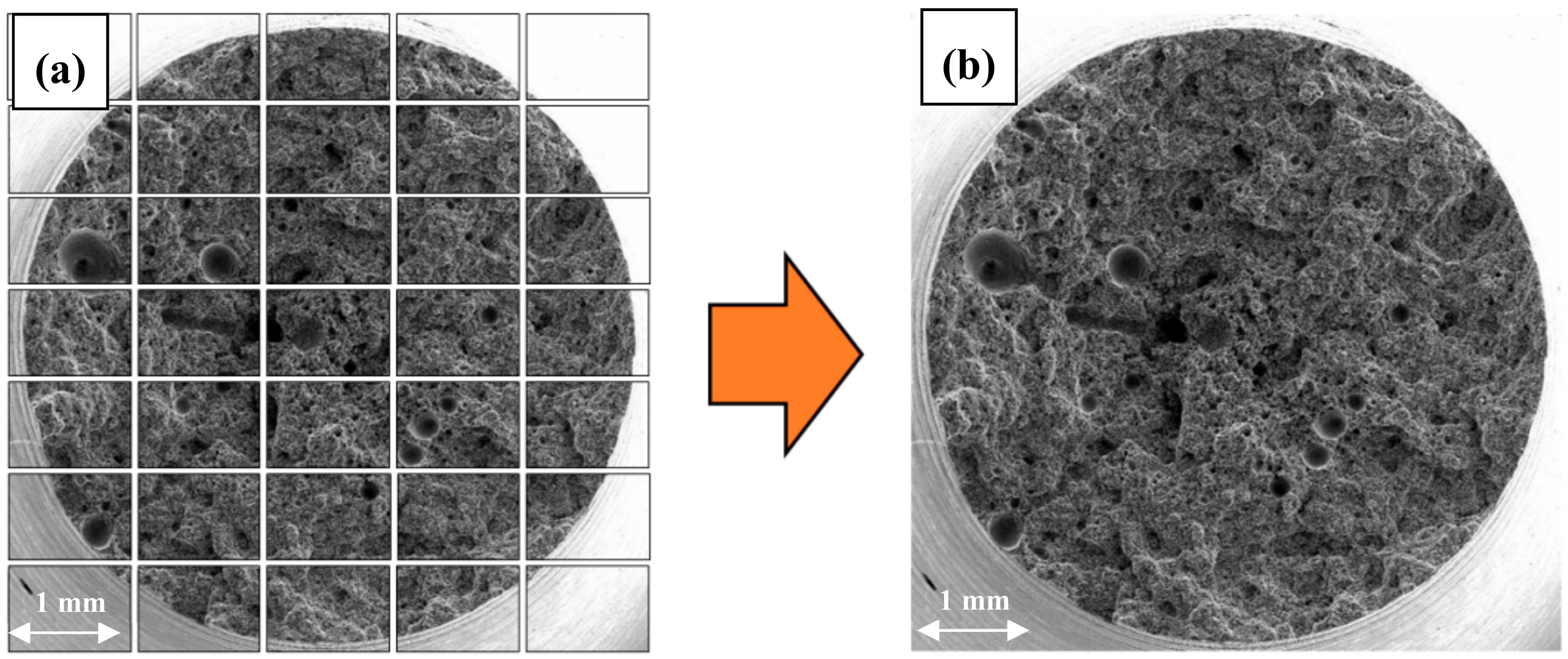 Materials 12 04125 g001
