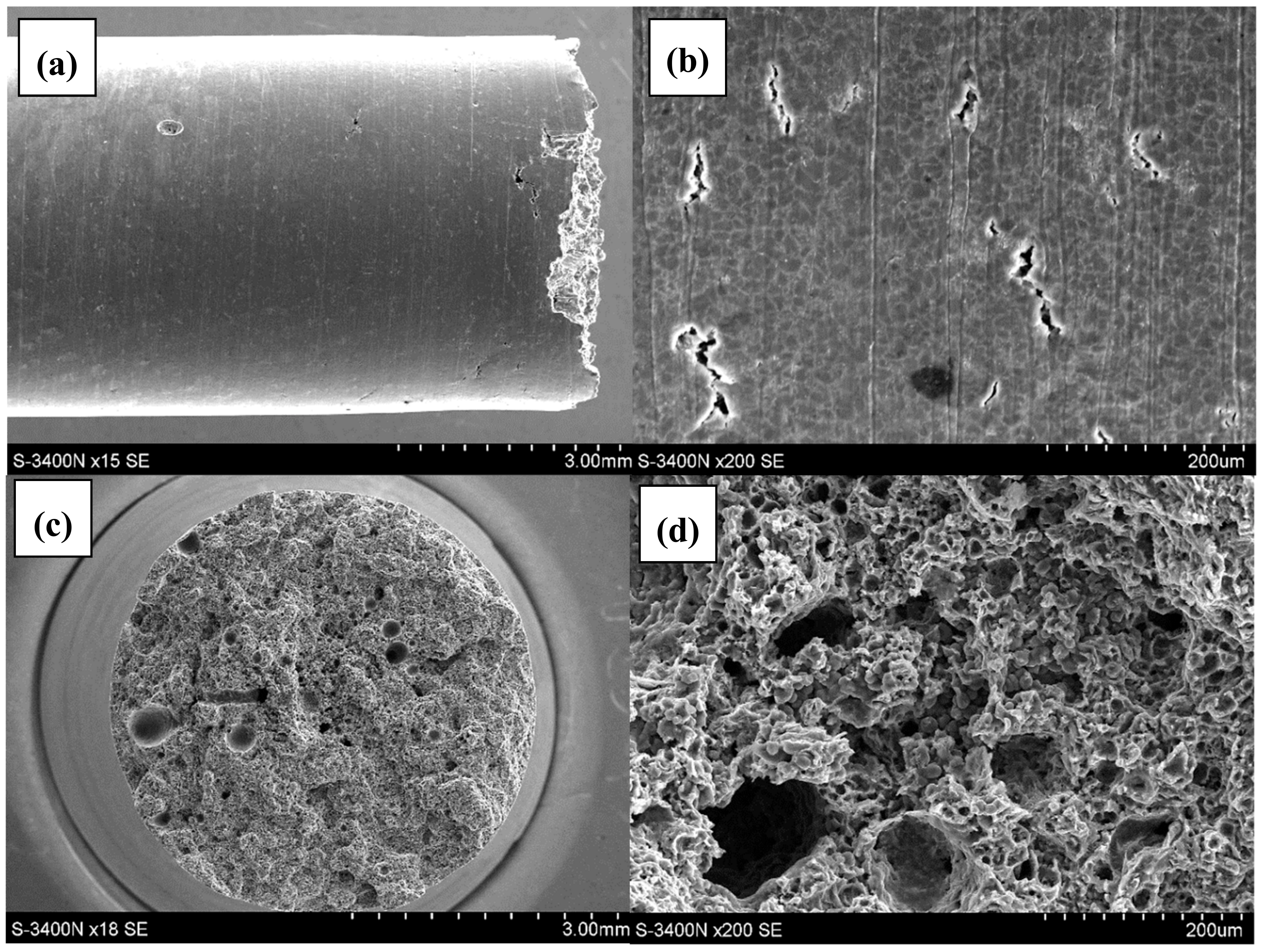 Materials 12 04125 g004