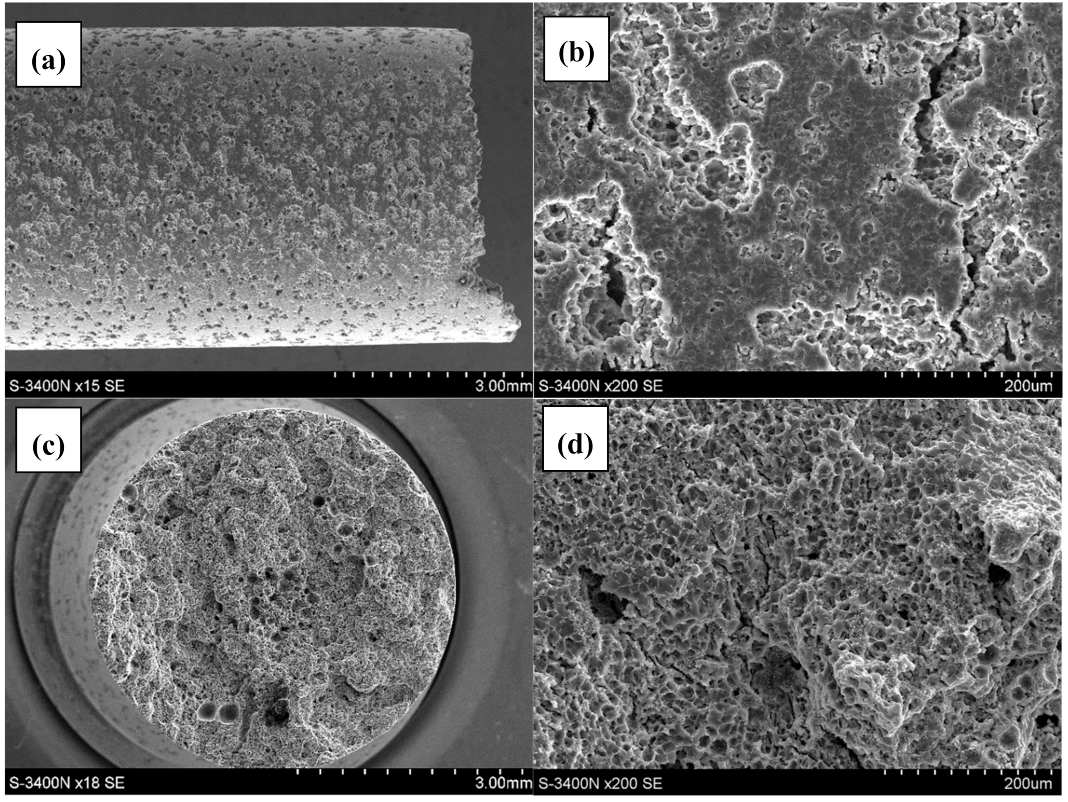 Materials 12 04125 g005