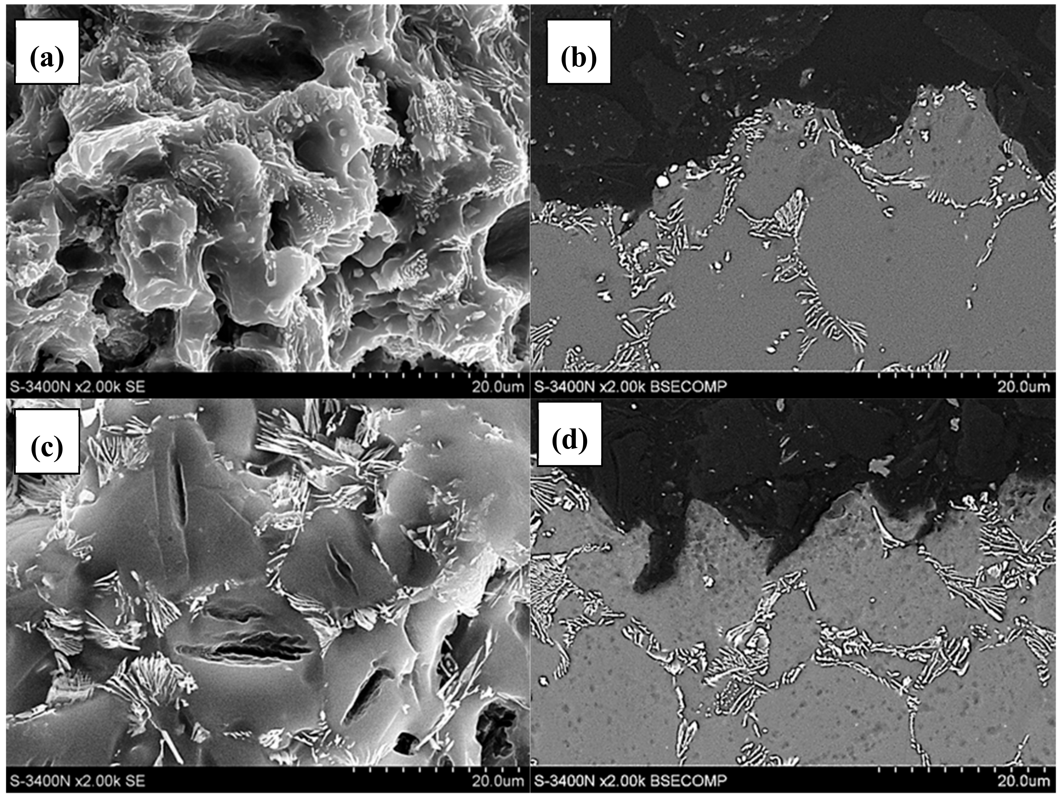 Materials 12 04125 g006