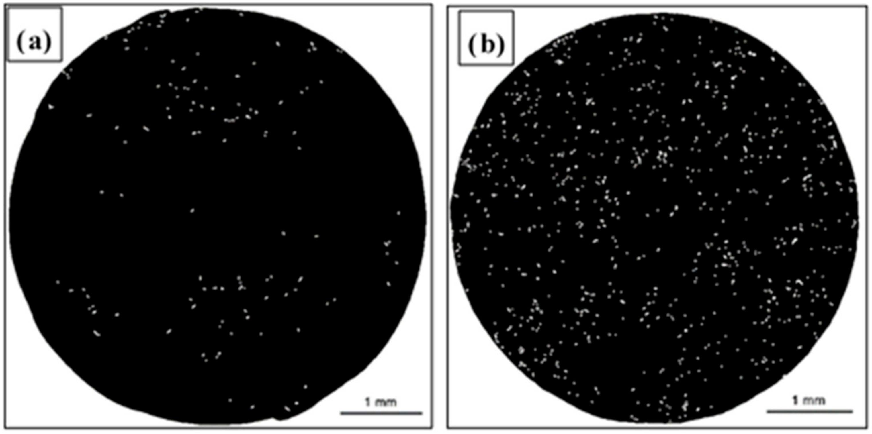 Materials 12 04125 g010
