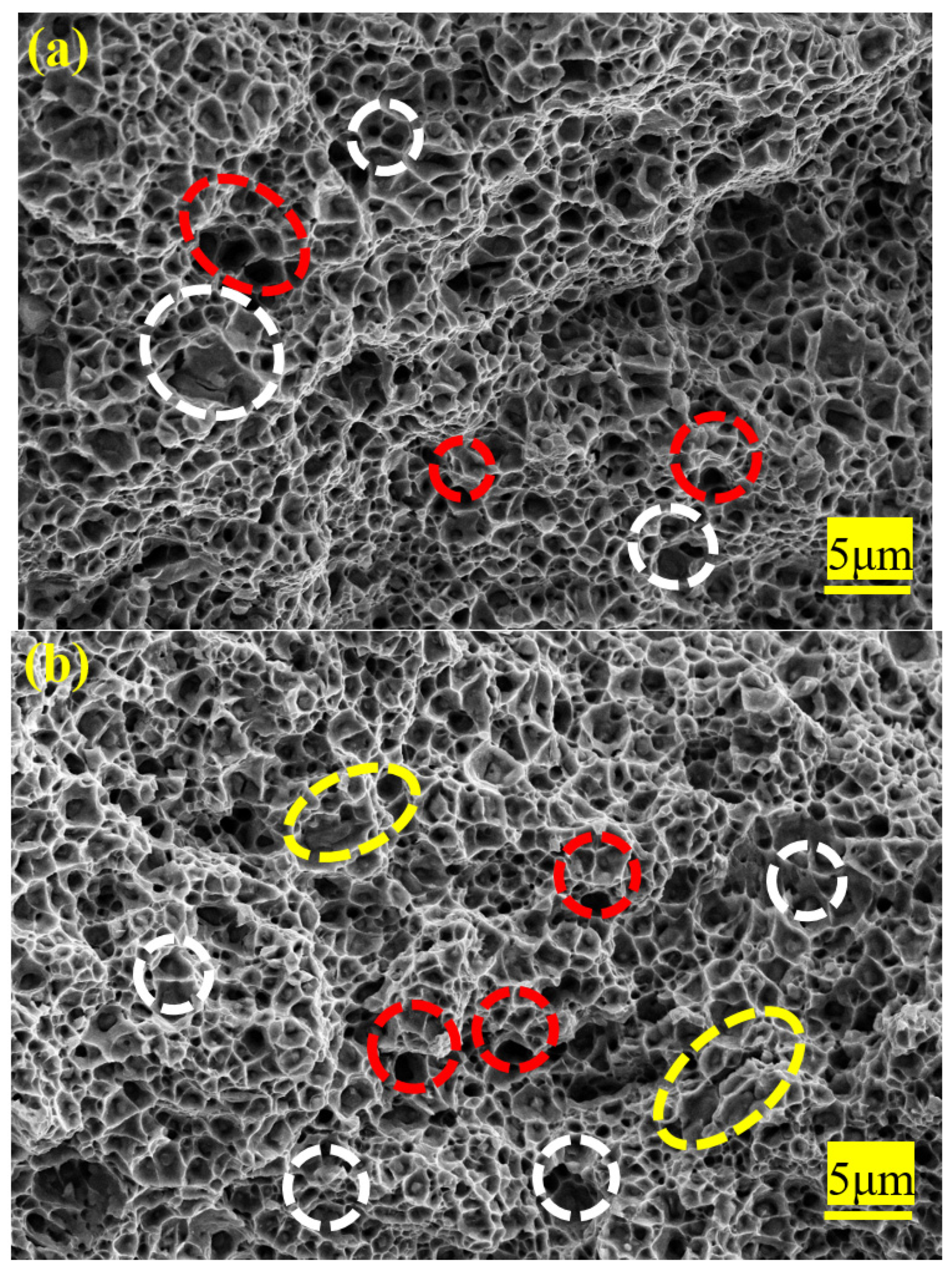 Materials 12 04136 g012