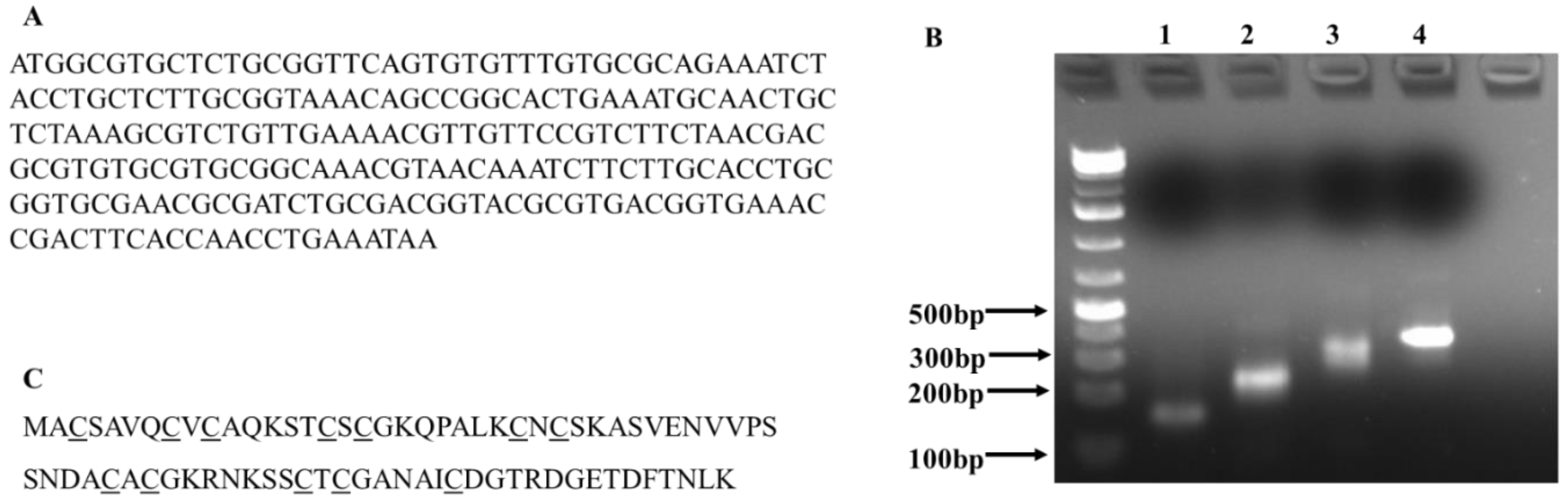 Materials 12 04180 g001 Materials 12 04180 g001