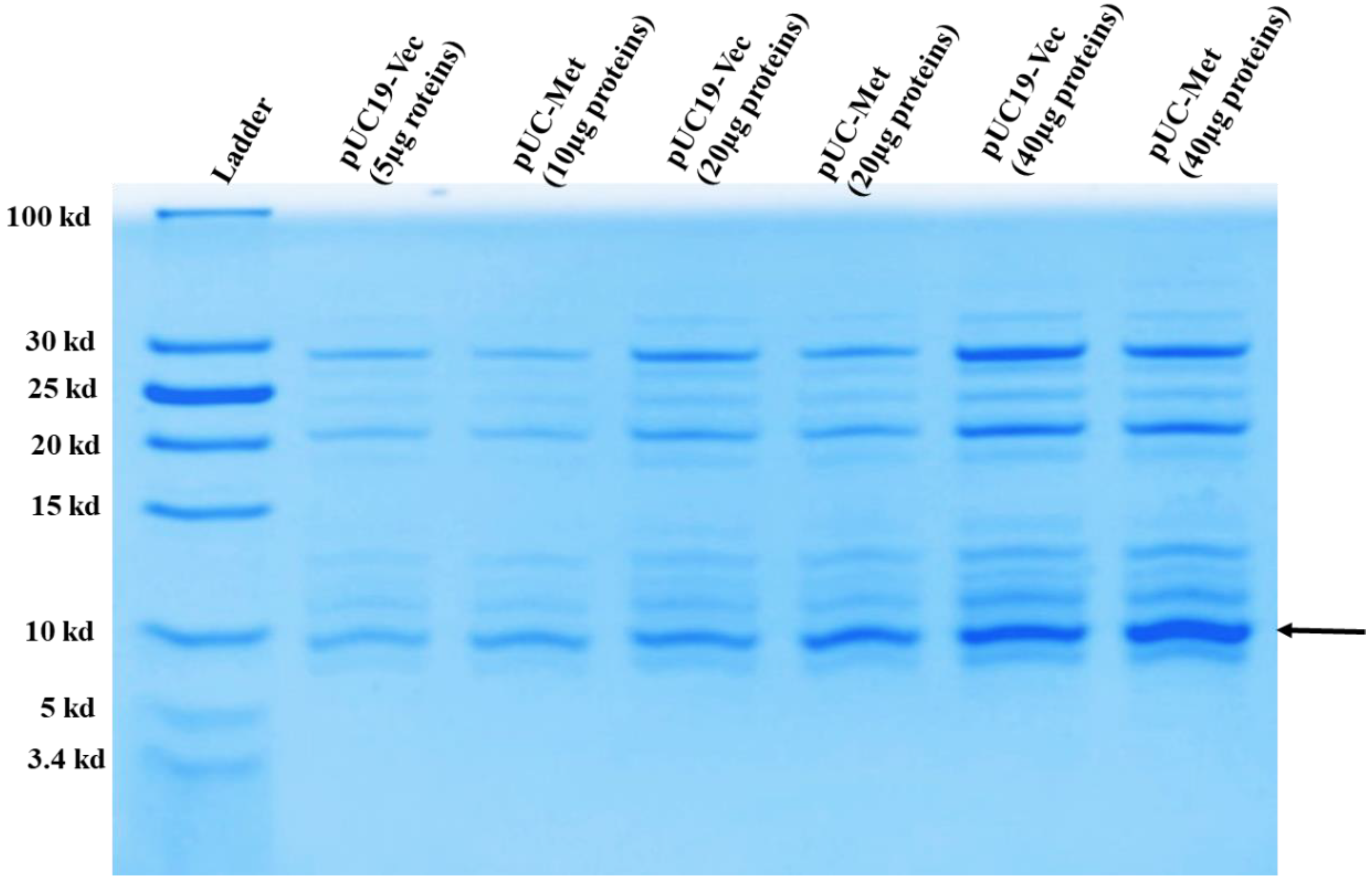 Materials 12 04180 g002 Materials 12 04180 g002