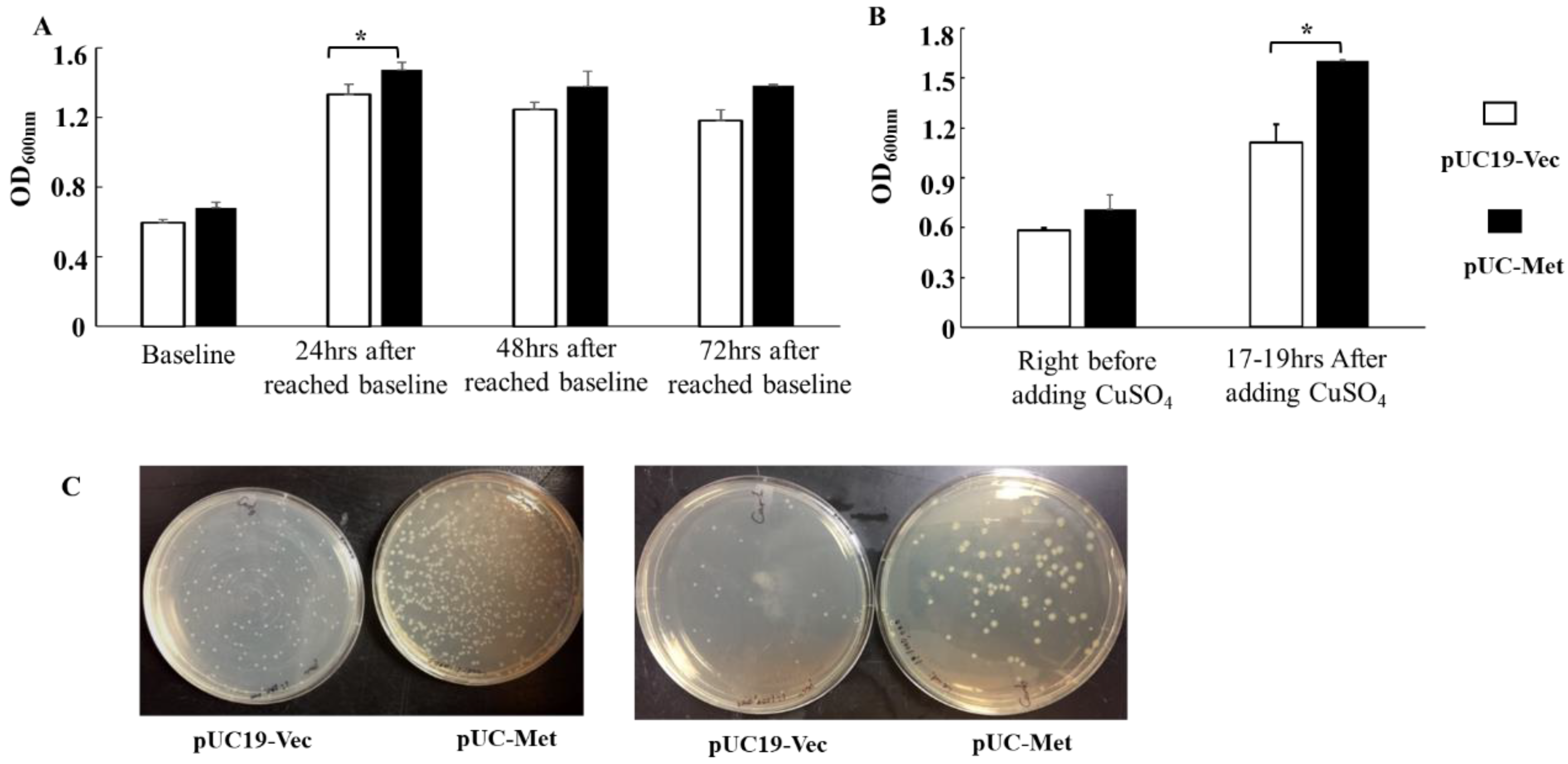 Materials 12 04180 g003 Materials 12 04180 g003
