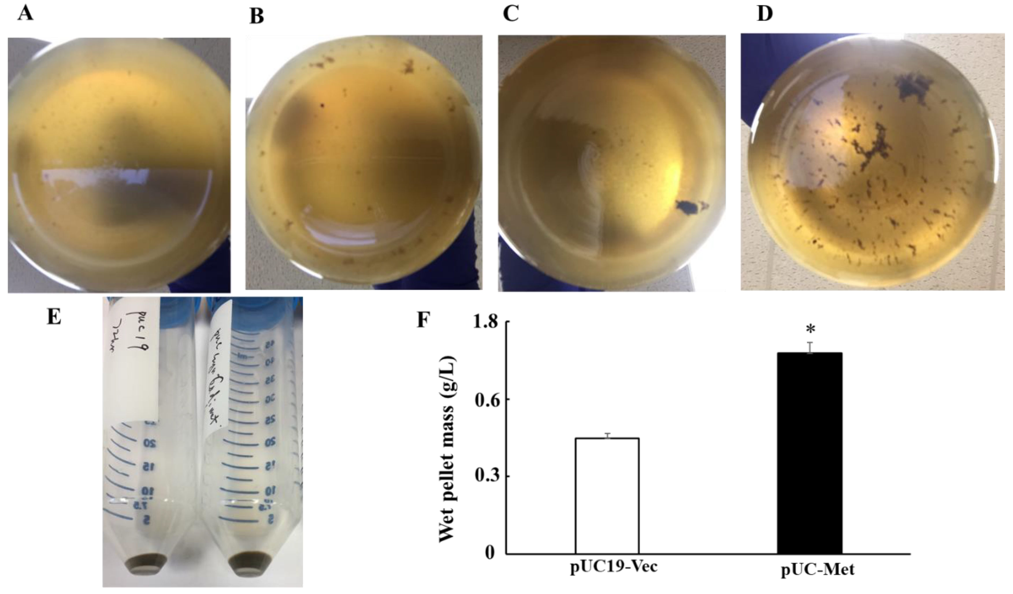 Materials 12 04180 g004 Materials 12 04180 g004
