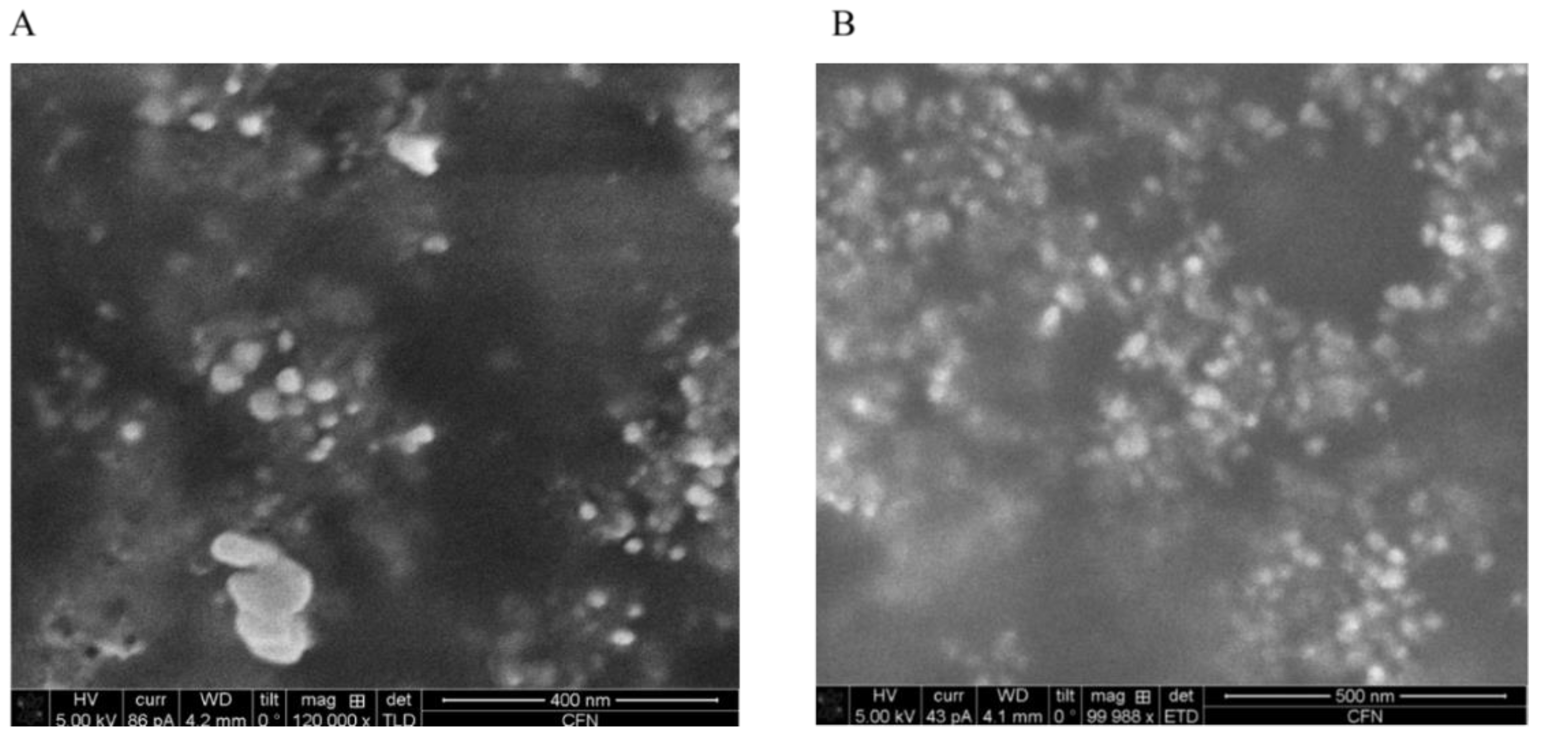 Materials 12 04180 g007 Materials 12 04180 g007