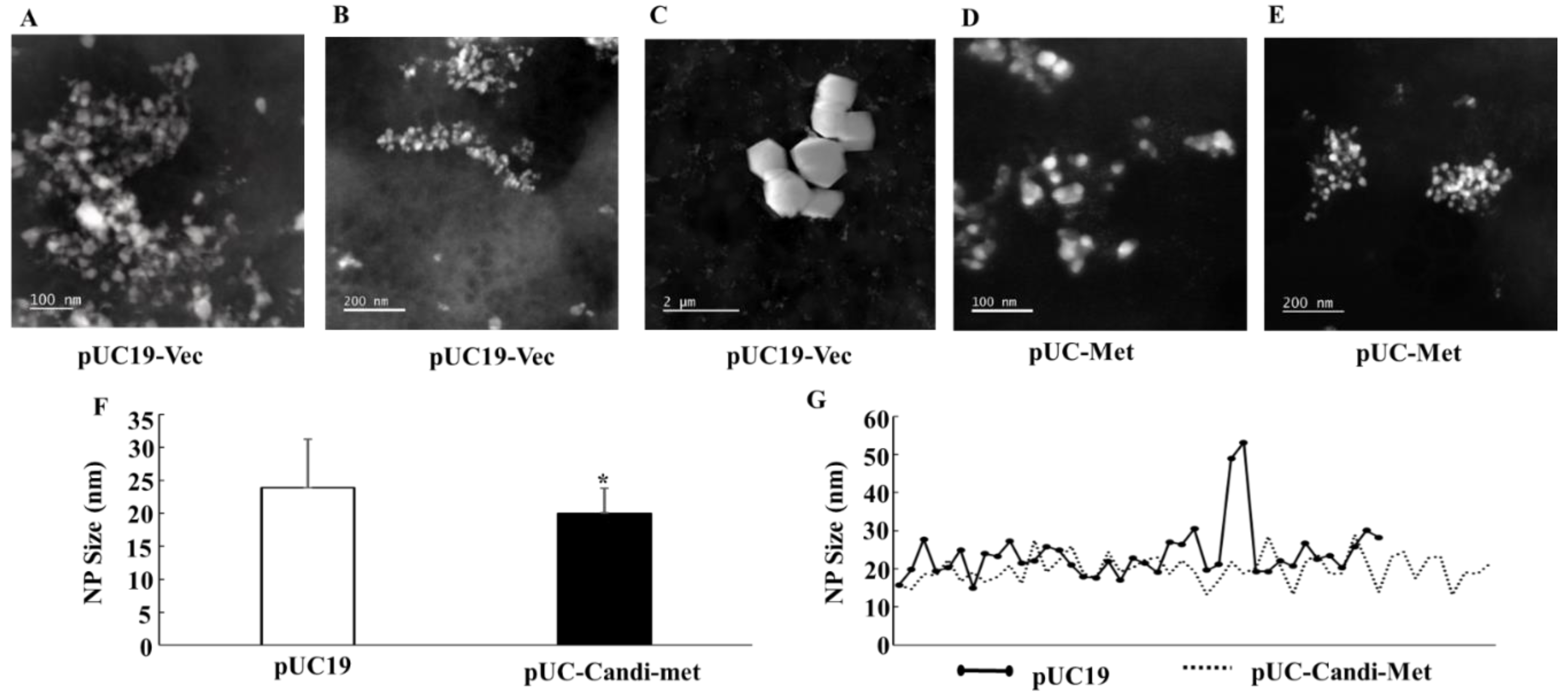 Materials 12 04180 g008 Materials 12 04180 g008
