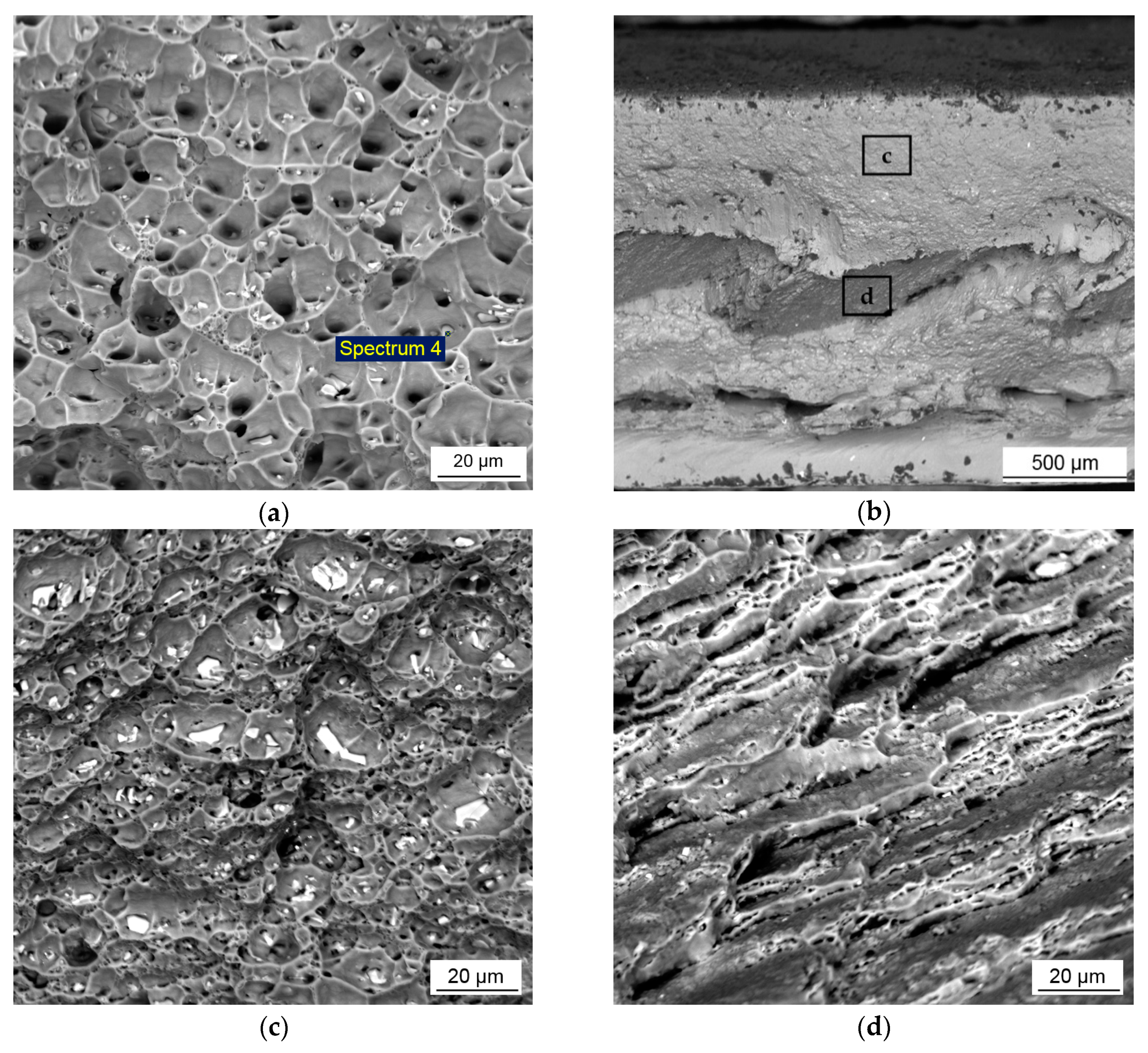 Materials 12 04211 g009