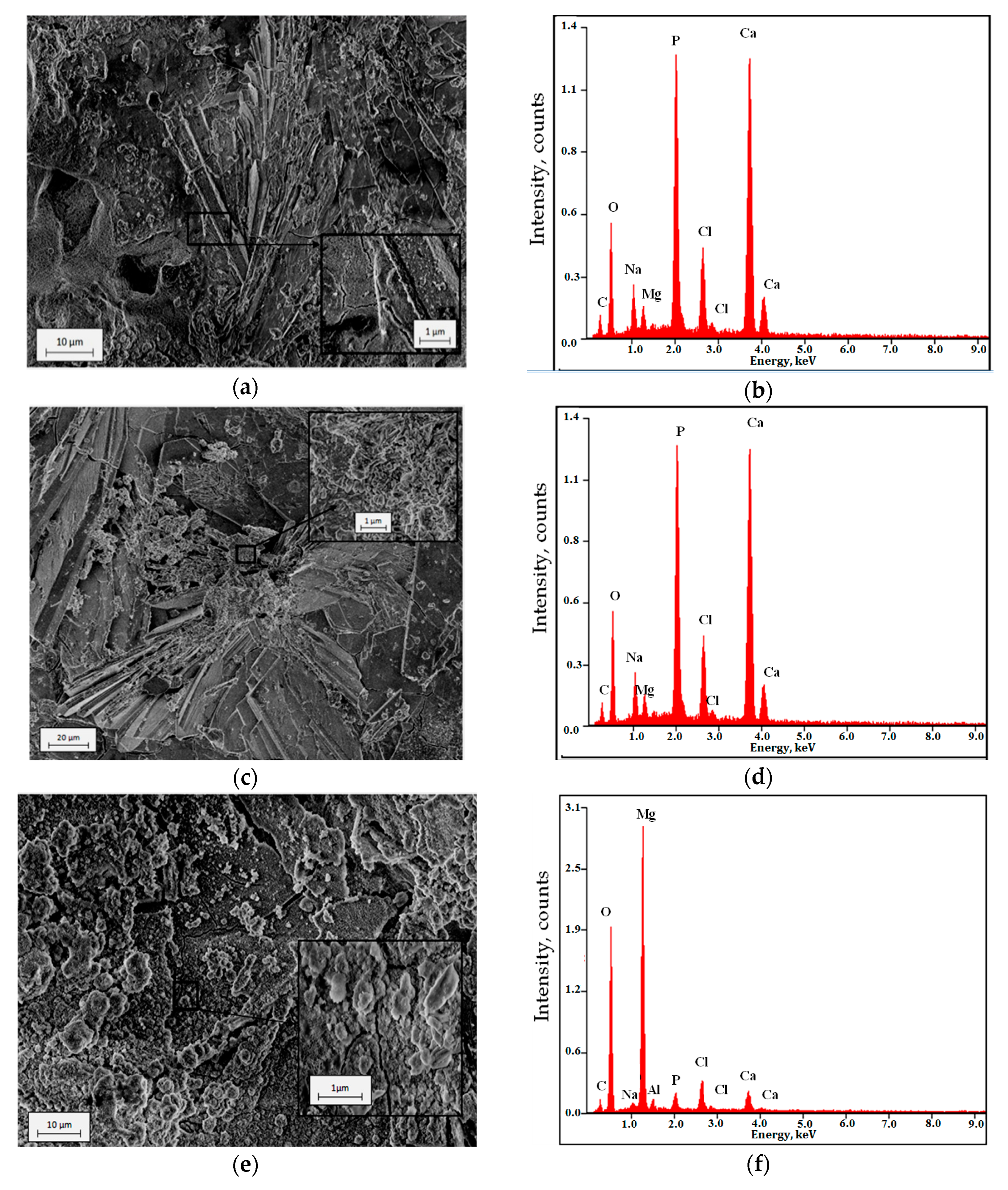 Materials 13 00002 g007 Materials 13 00002 g007