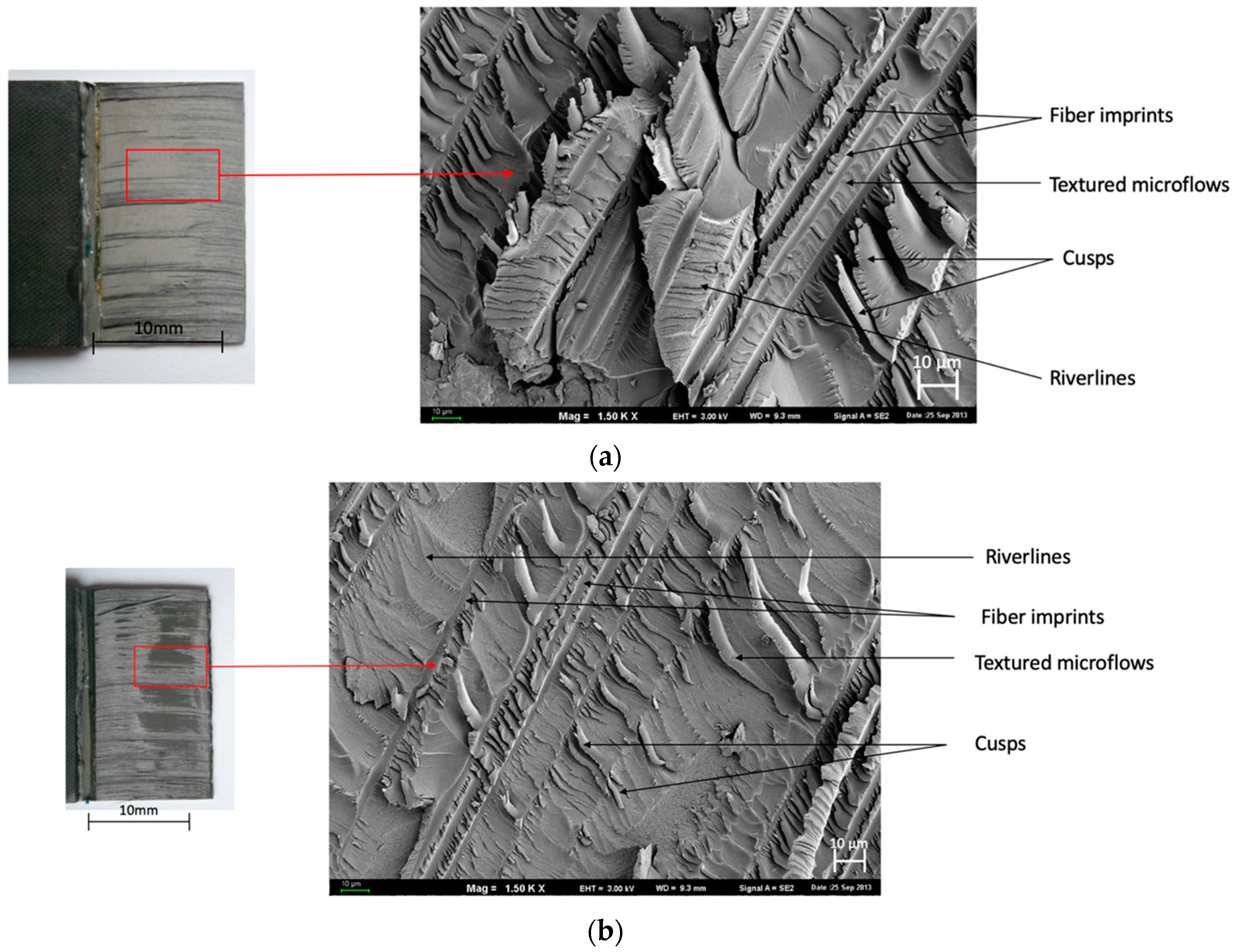 Materials 13 00007 g007a