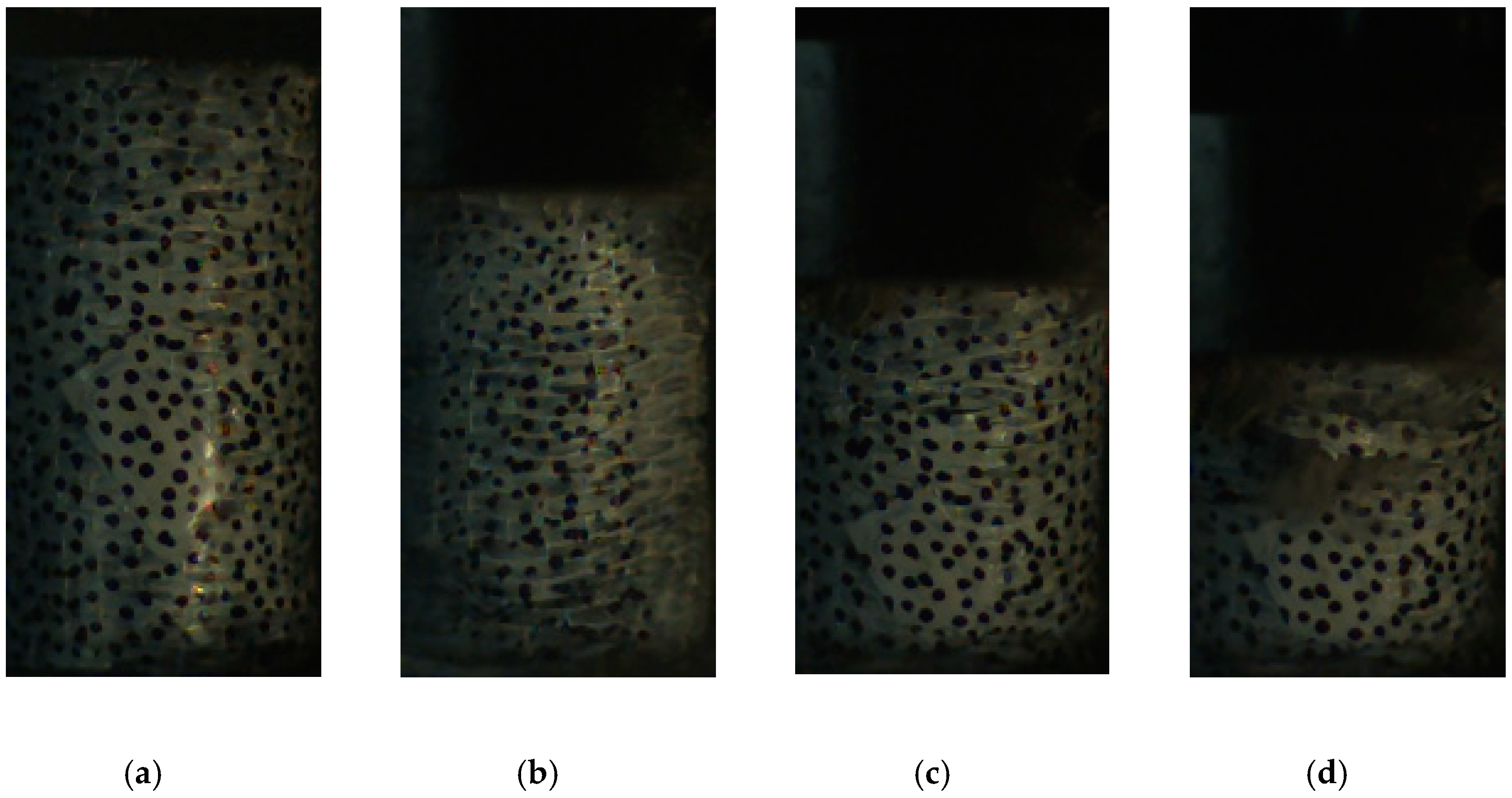 Materials 13 00010 g010