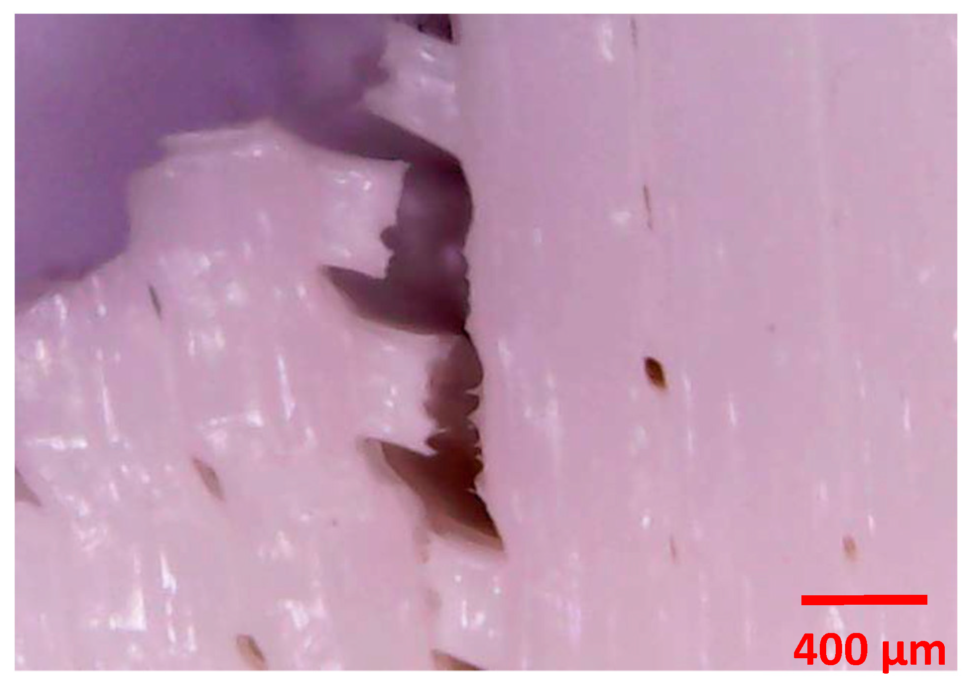 Materials 13 00015 g010