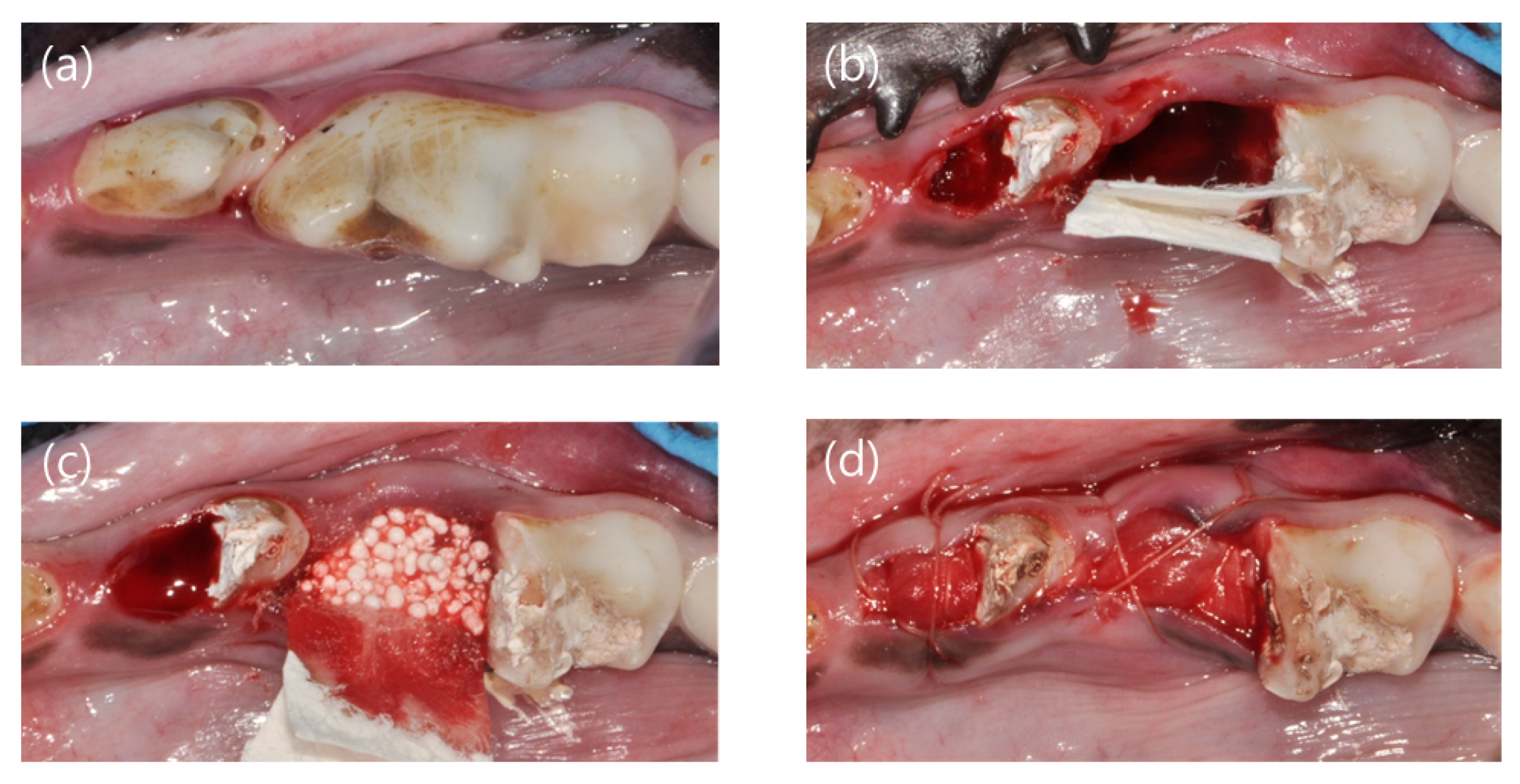 Materials 13 00018 g002
