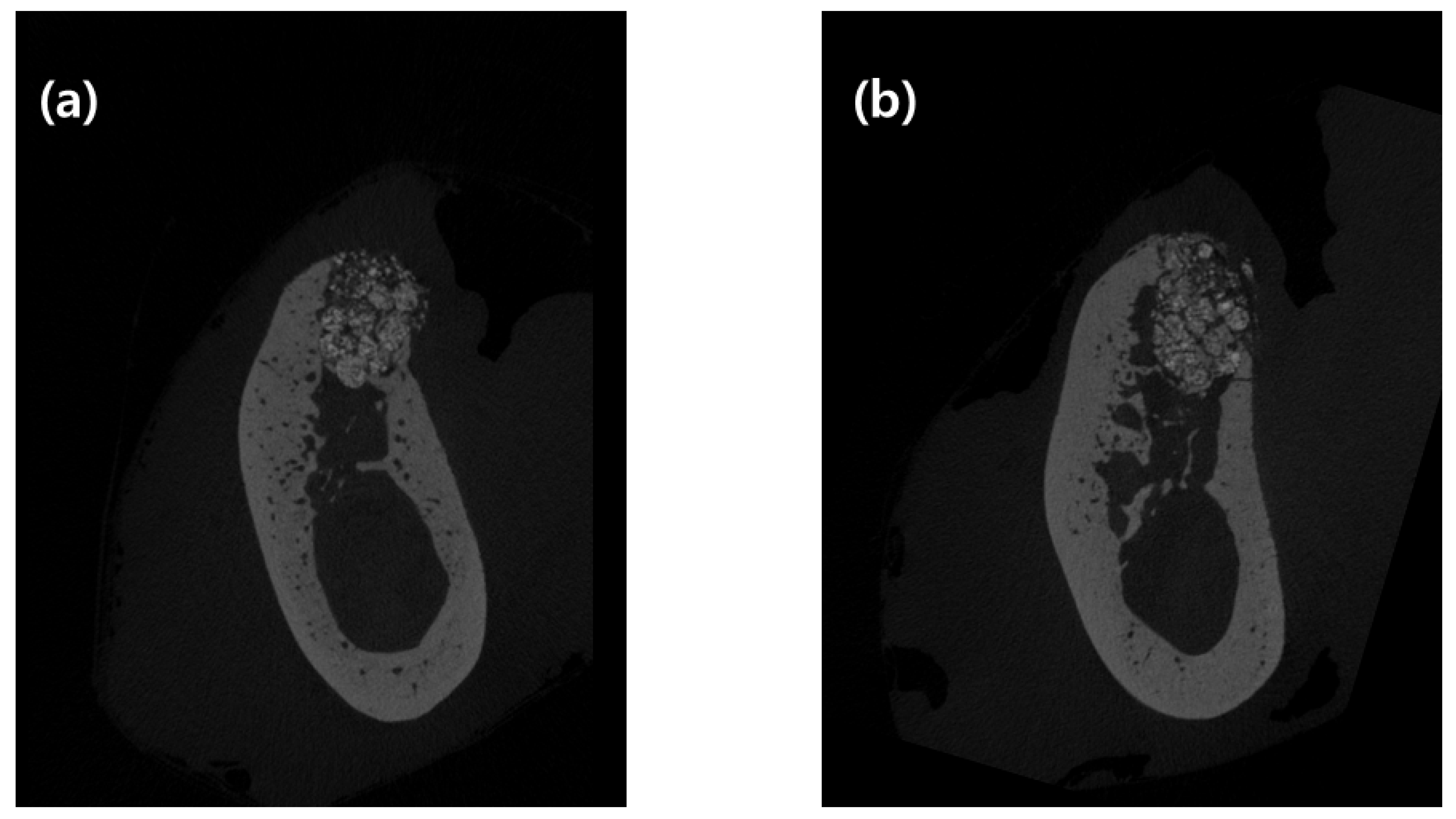 Materials 13 00018 g003