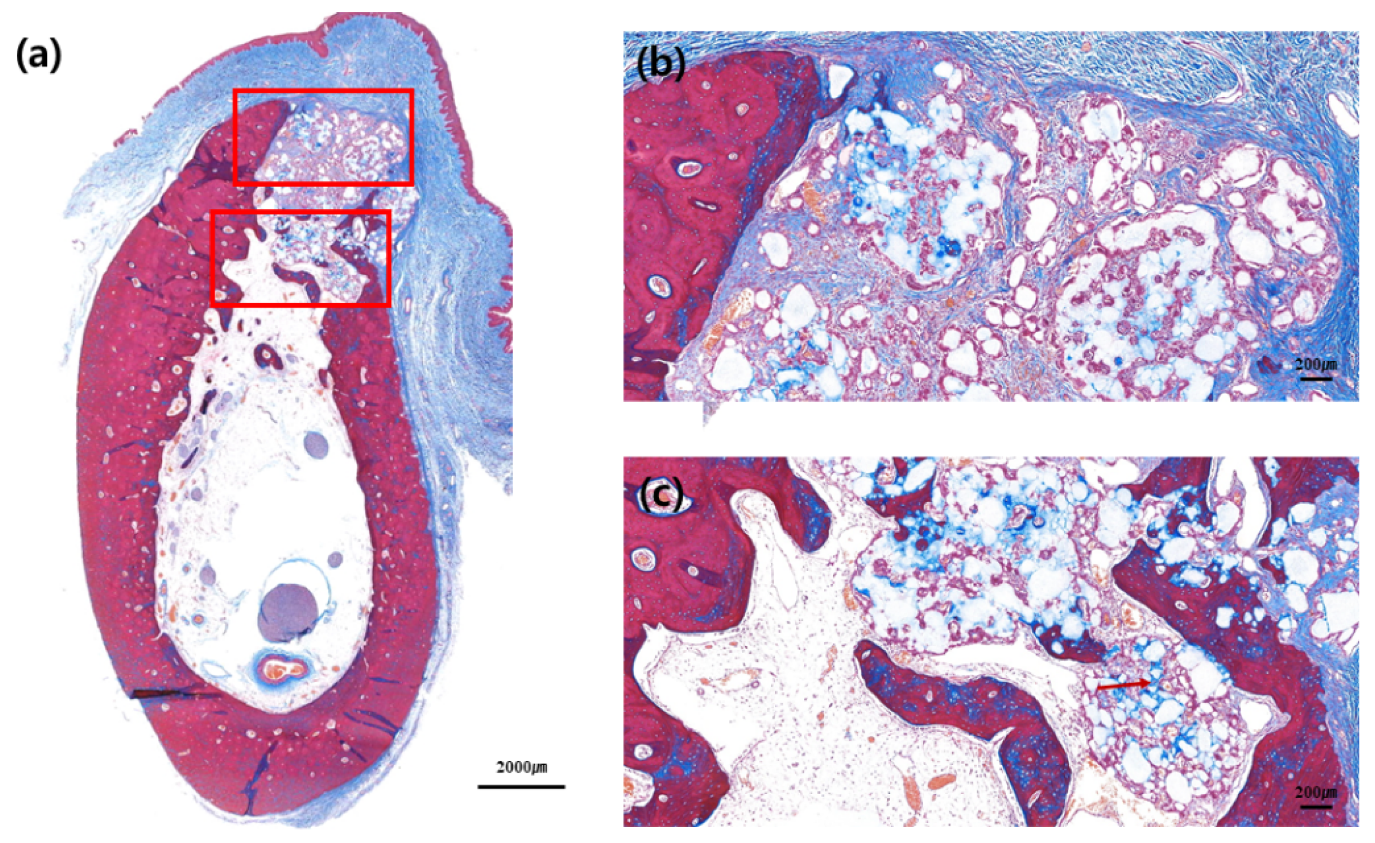 Materials 13 00018 g004