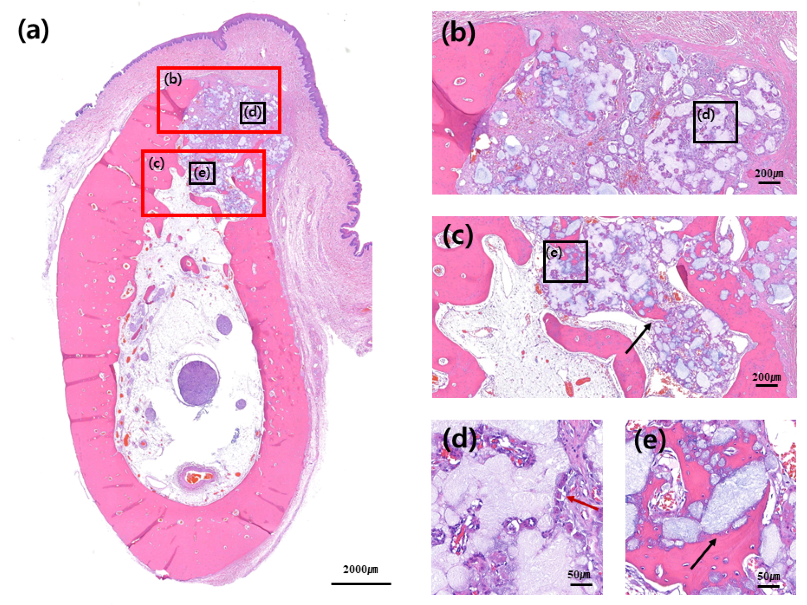 Materials 13 00018 g005