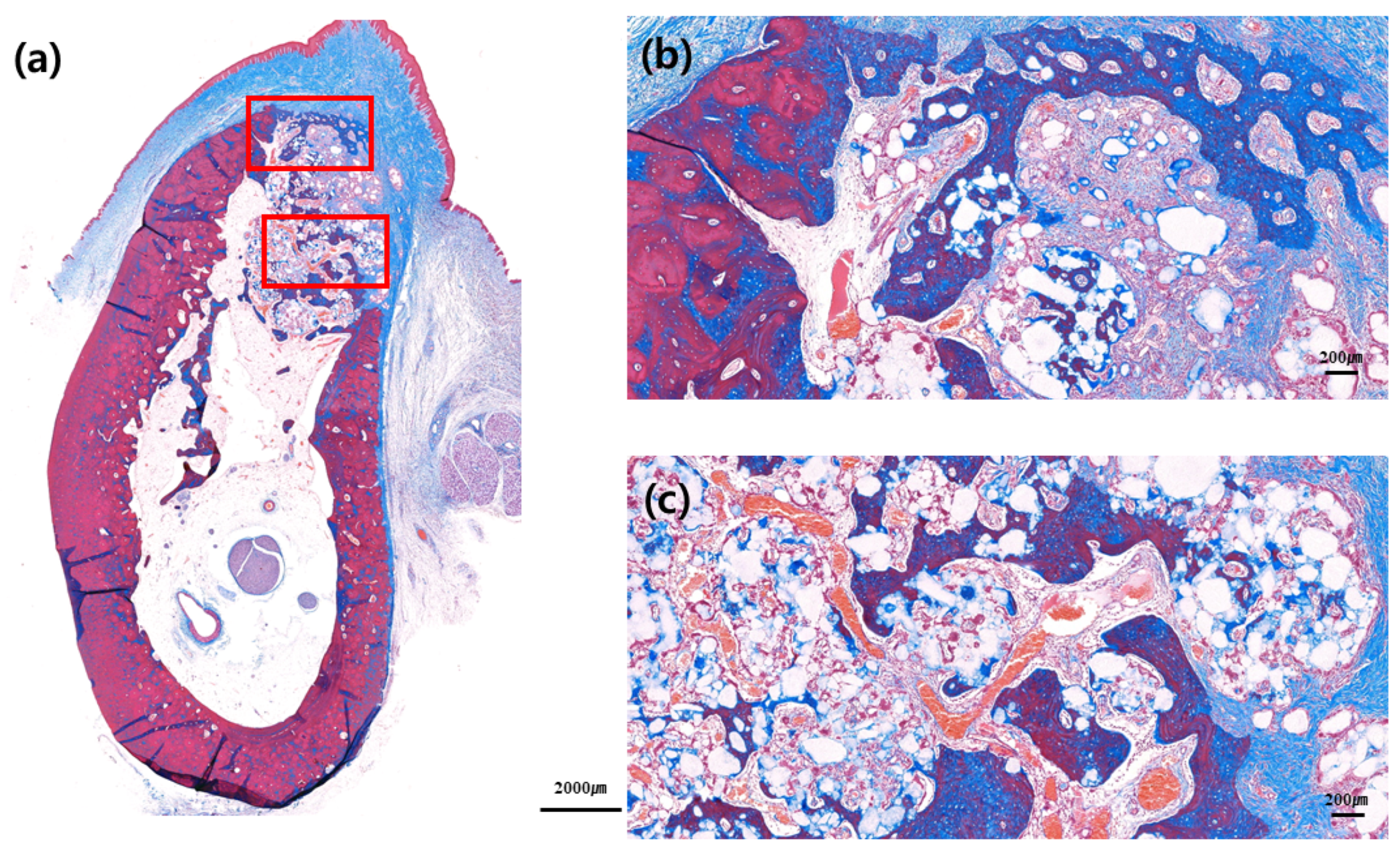 Materials 13 00018 g006
