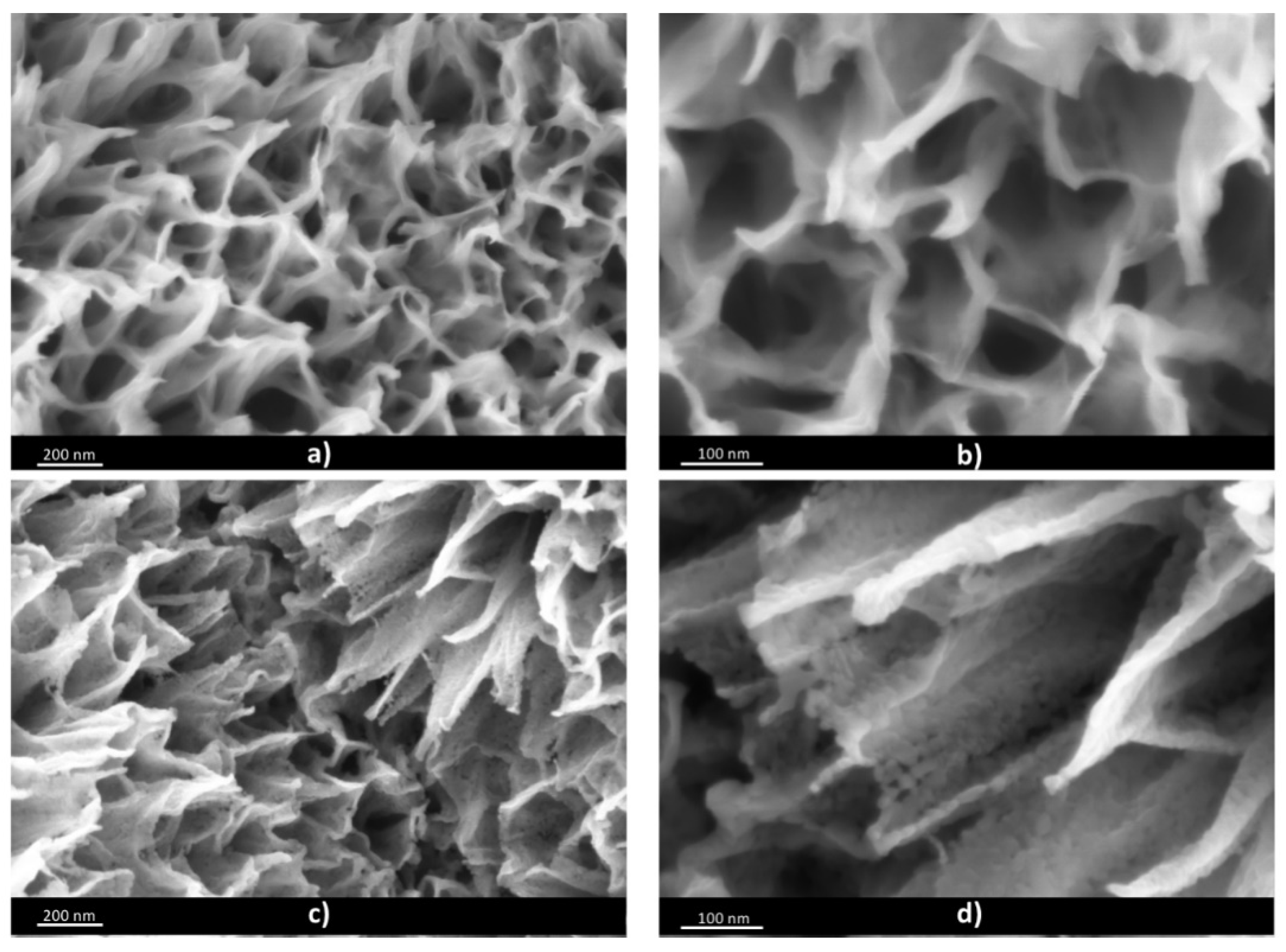 Materials 13 00021 g001